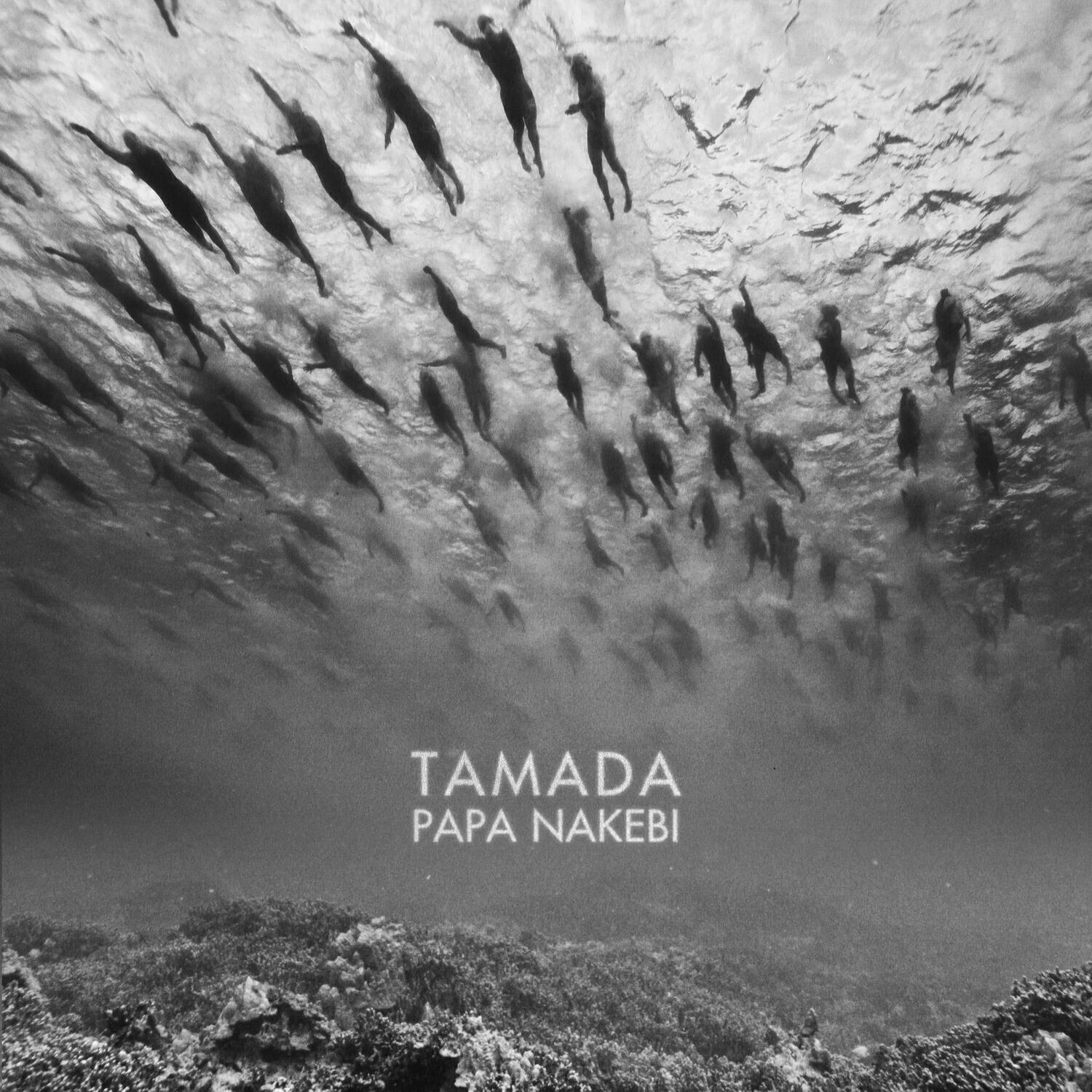 Релиз Papa Nakebi