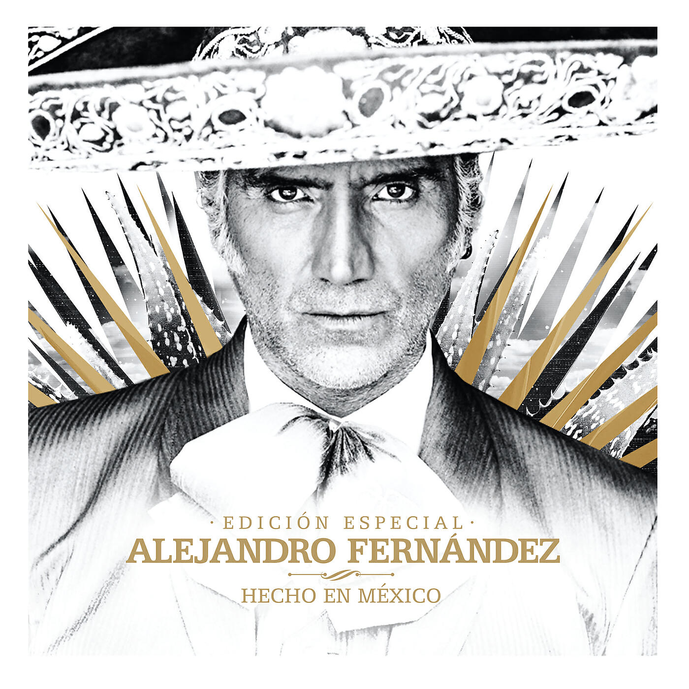 Альбом Hecho En México исполнителя Alejandro Fernández