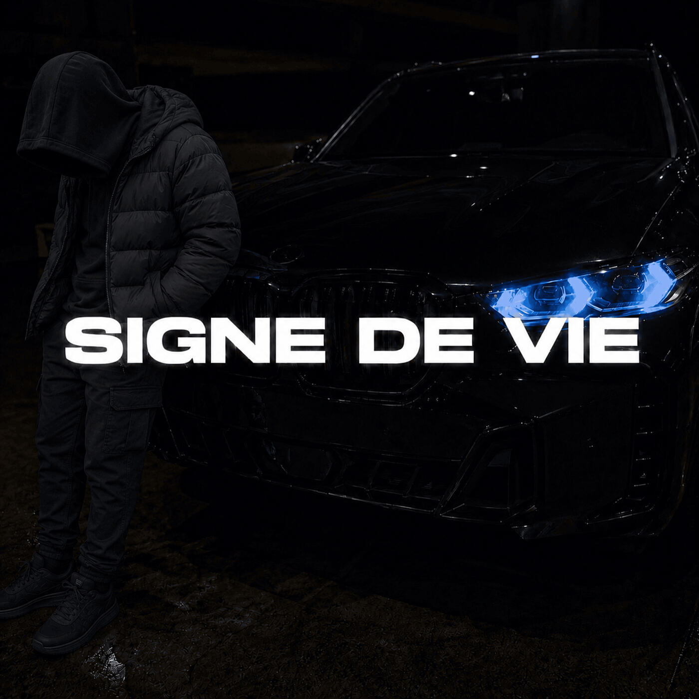 Релиз SIGNE DE VIE