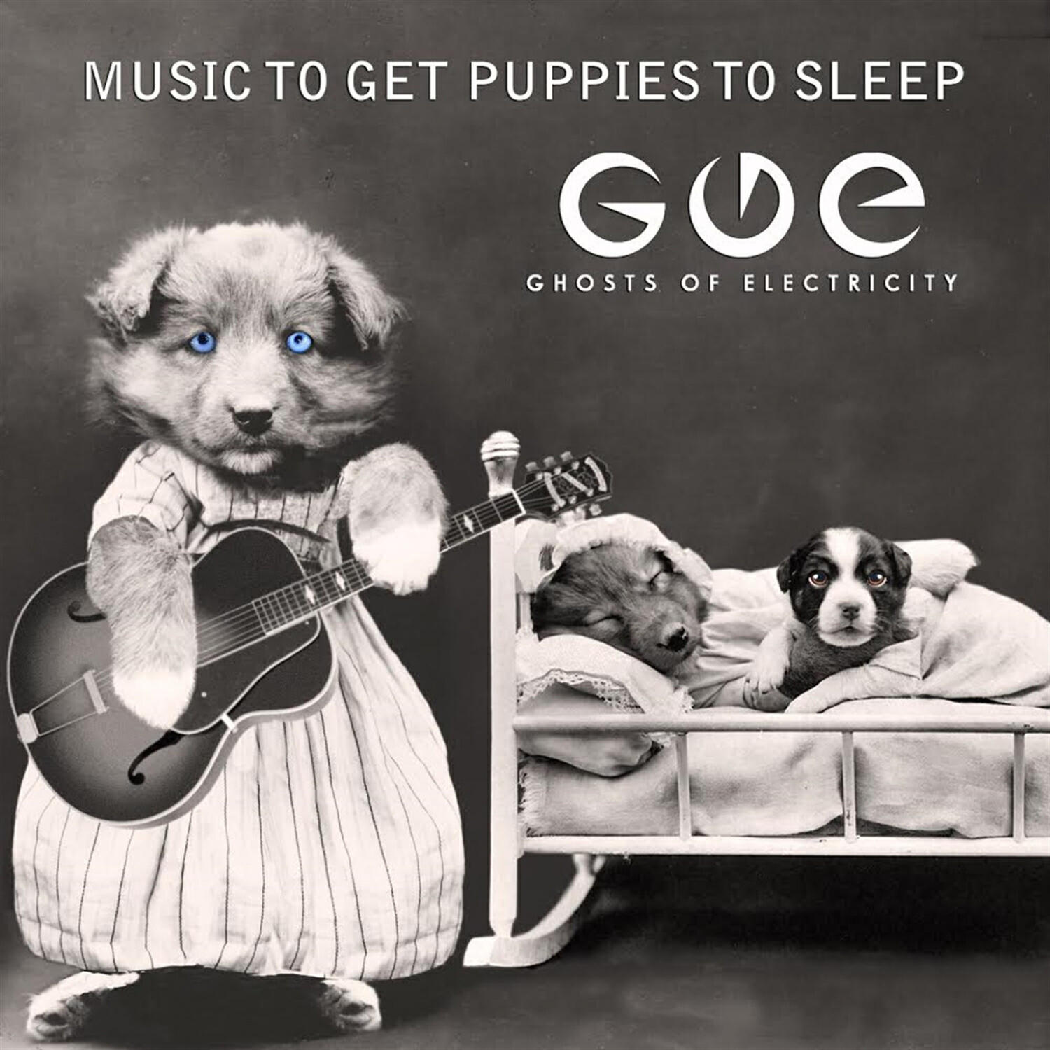 Релиз Songs to Get Puppies to Sleep