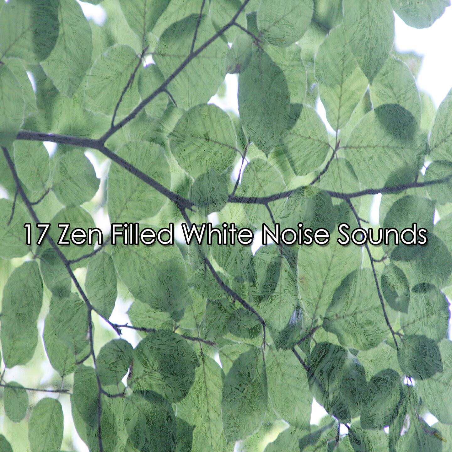 Релиз 17 Zen Filled White Noise Sounds