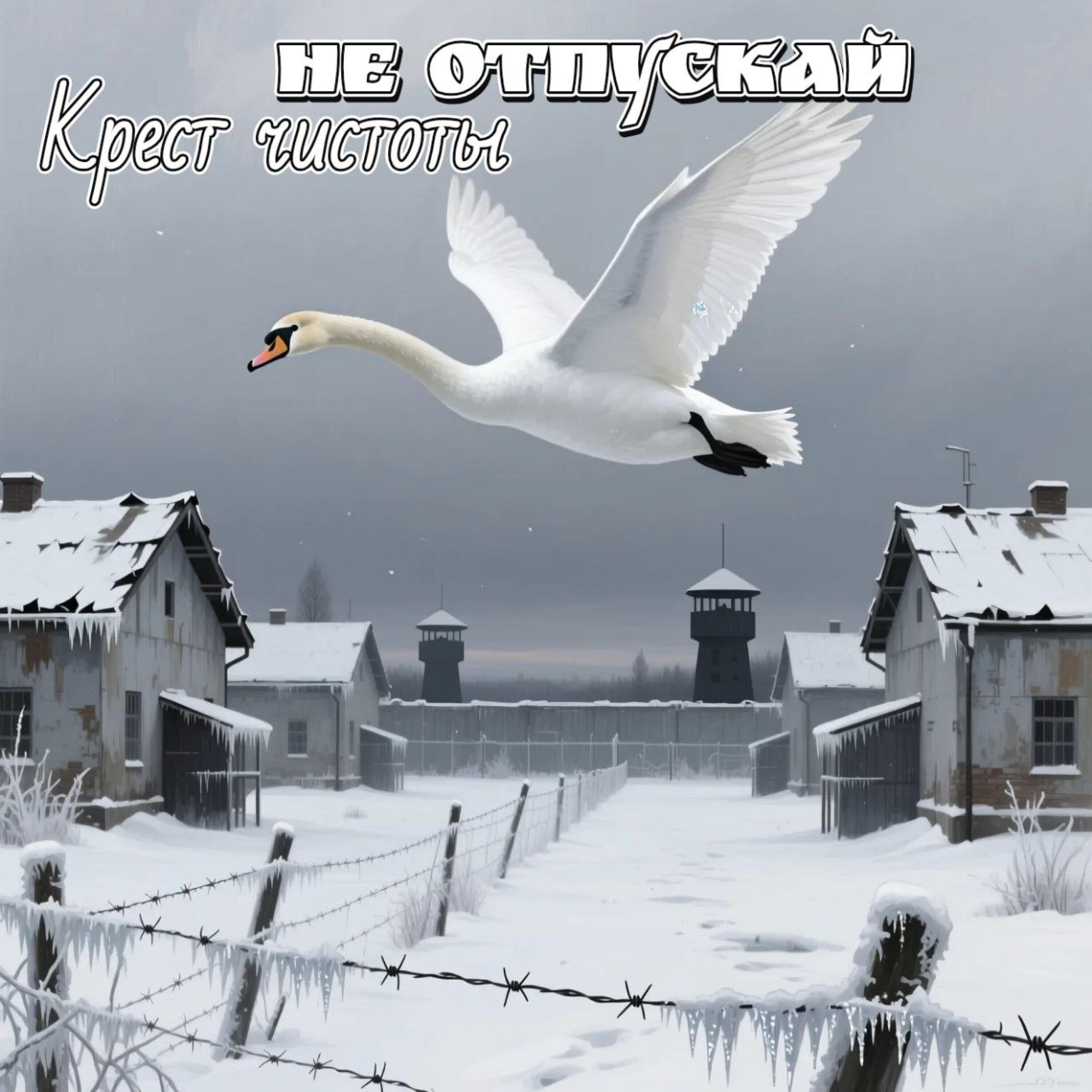 Релиз Крест чистоты