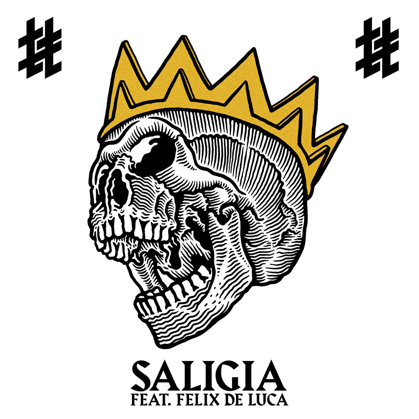 Альбом SALIGIA исполнителя Tumult, Felix De Luca