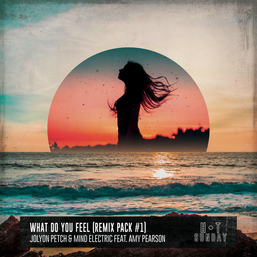 Релиз What Do You Feel (Elektrik Disko Remix)