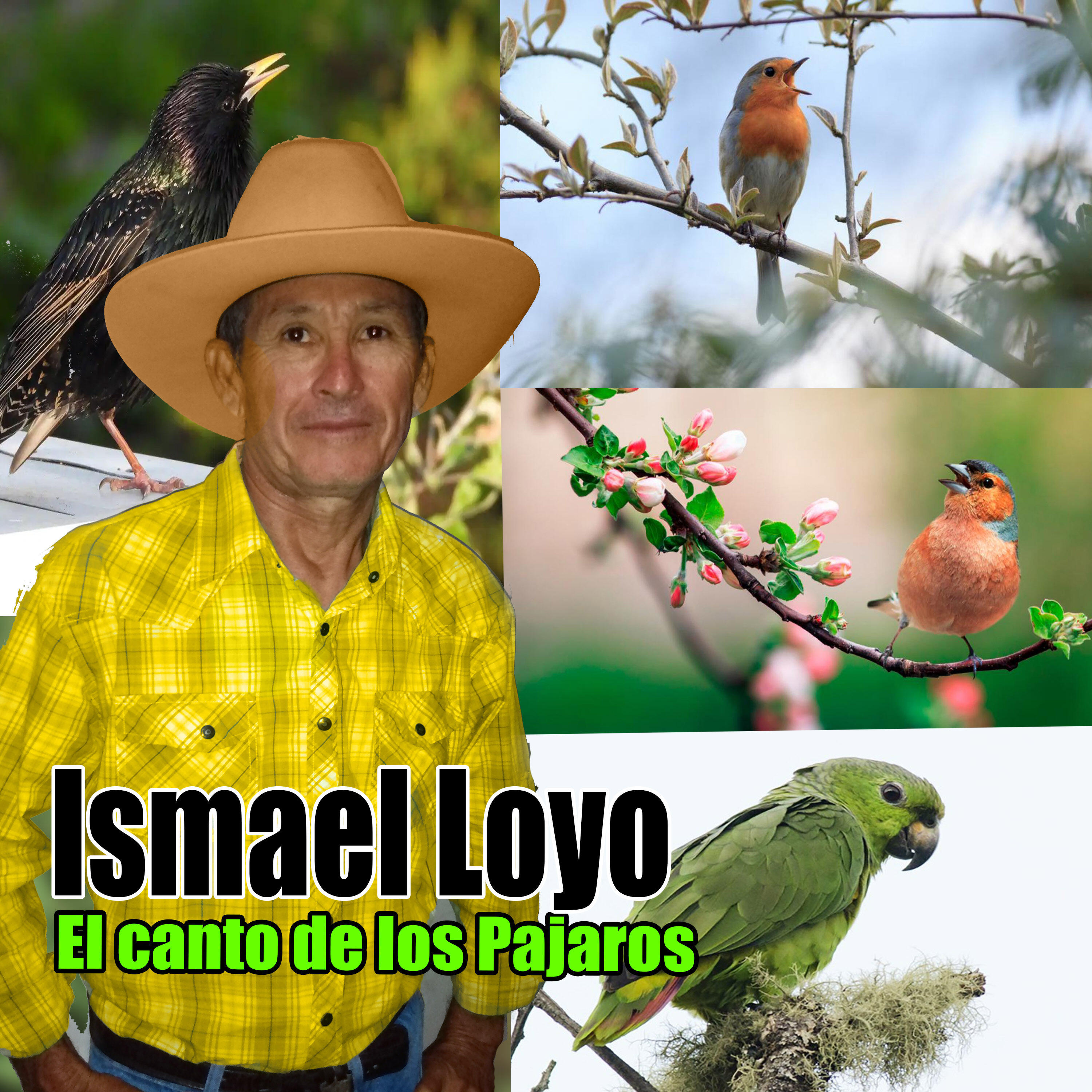 Релиз El Canto de los Pajaros