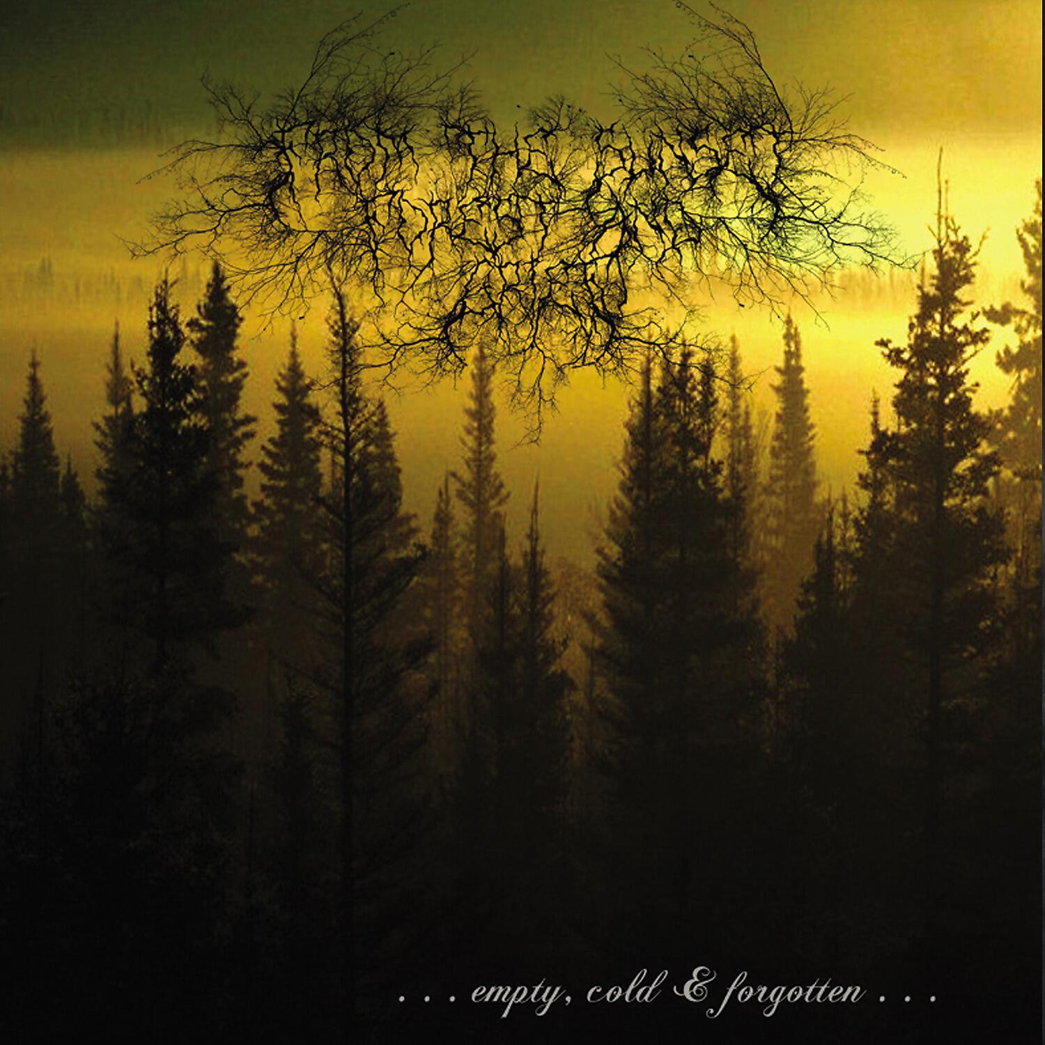 From The Sunset, Forest & Grief