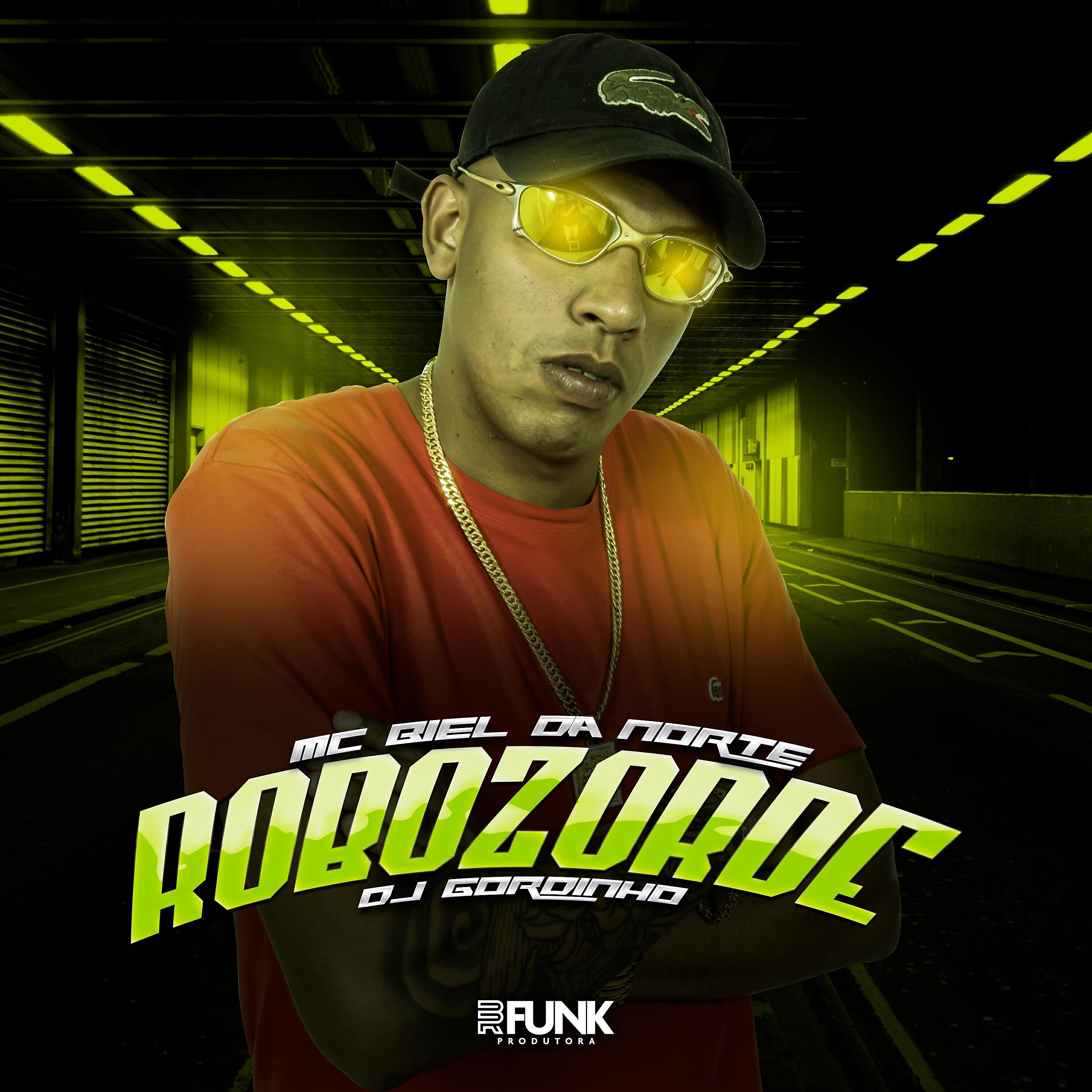 Скачать песню Mc Biel da Norte, DJ Gordinho - Robozorde бесплатно в MP3 для Android и iOS