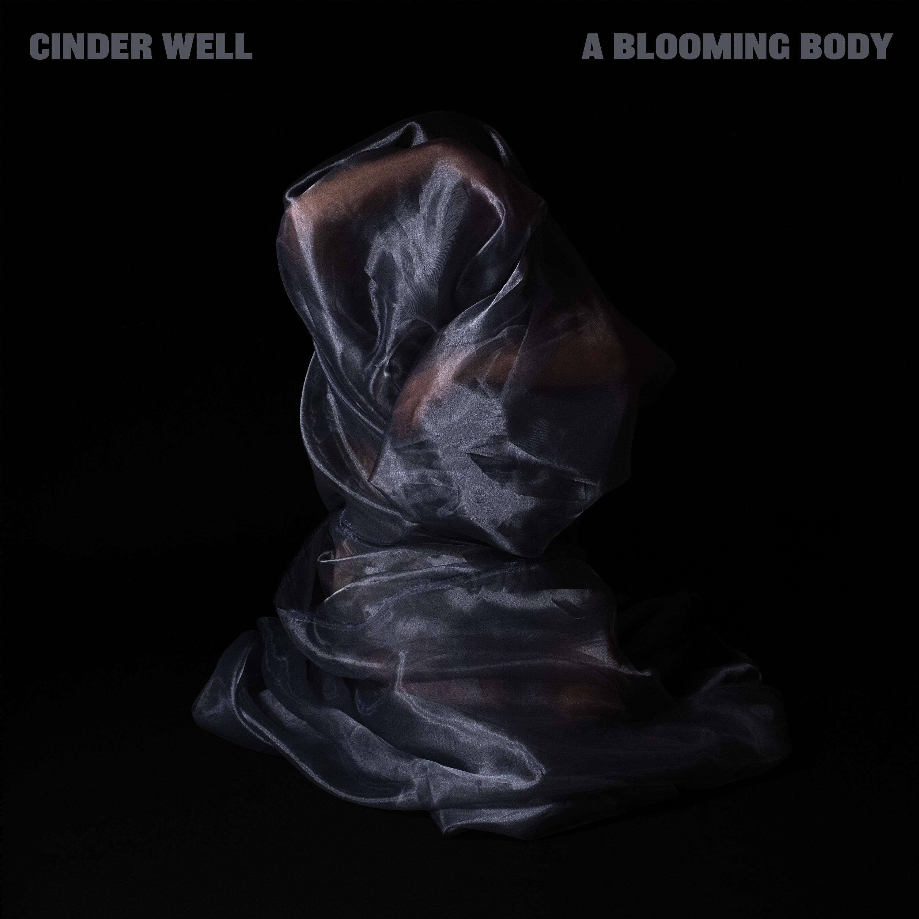 Релиз Beyond the Pale