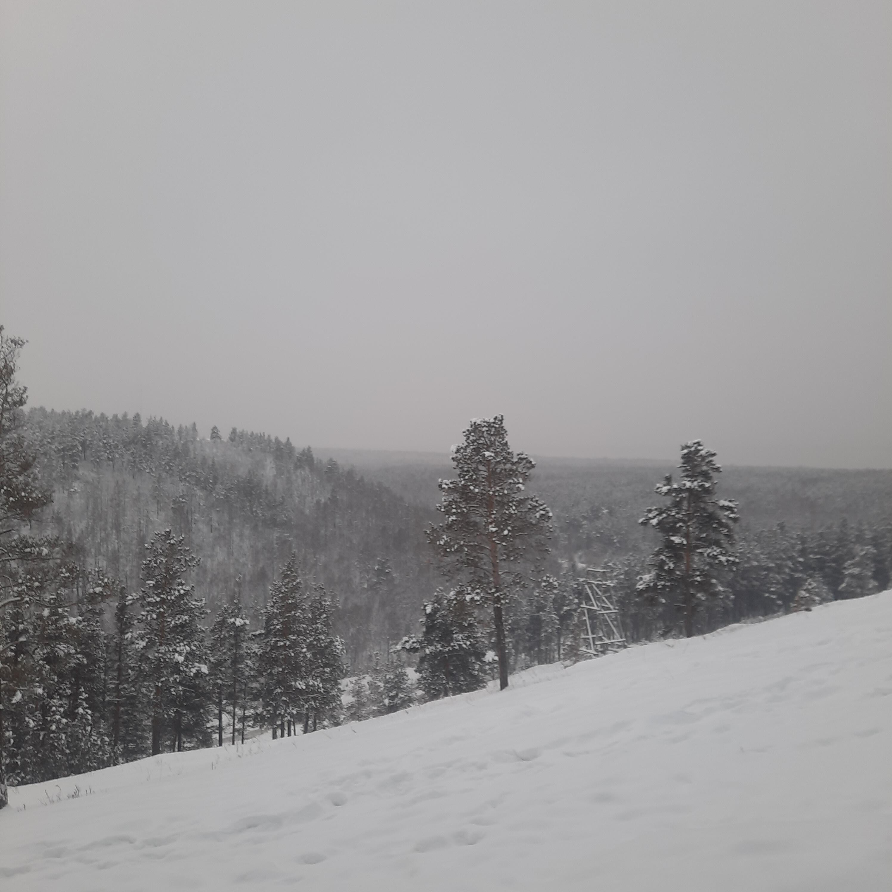 СОКККОЛ
