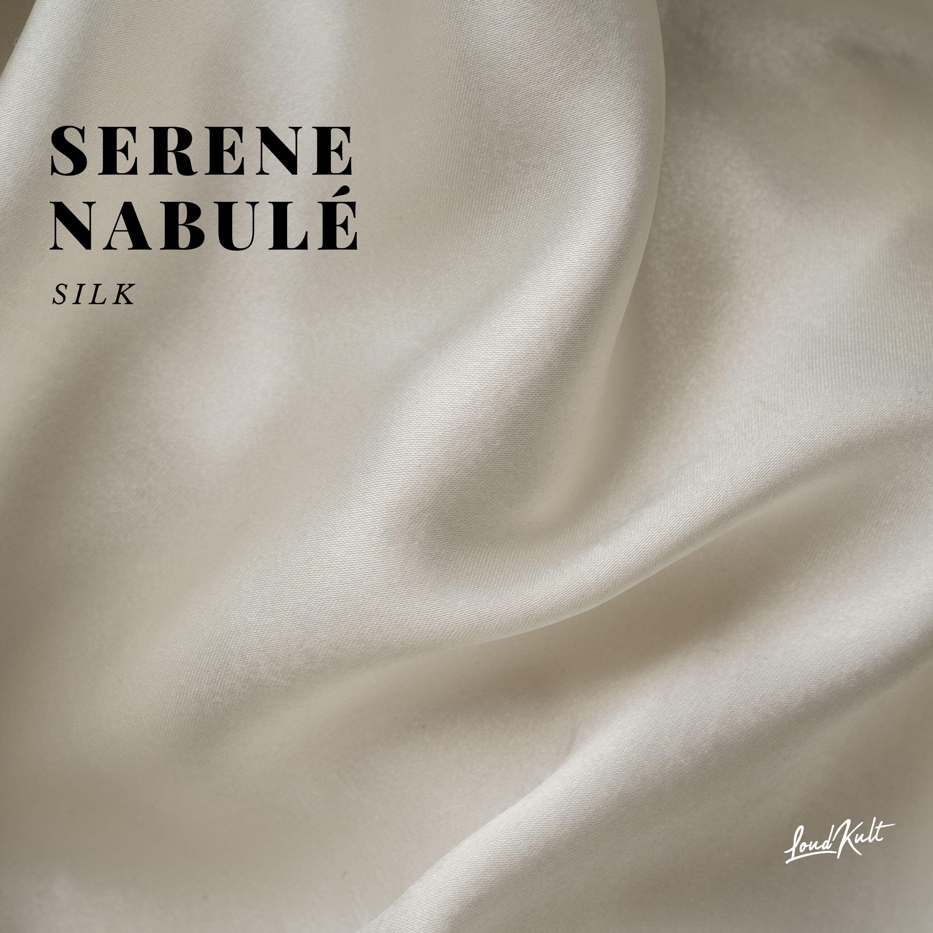 Релиз Silk