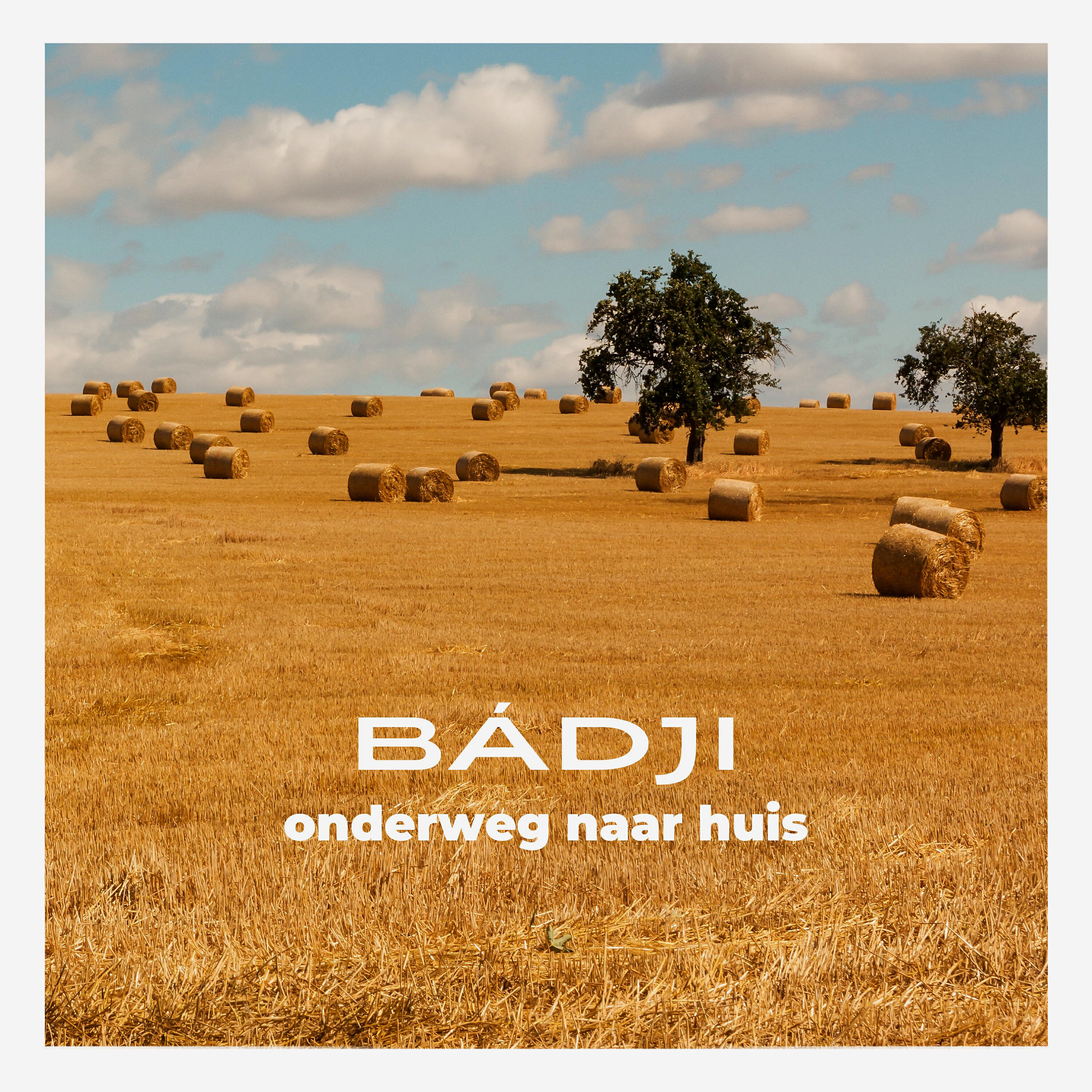 Релиз Onderweg naar huis