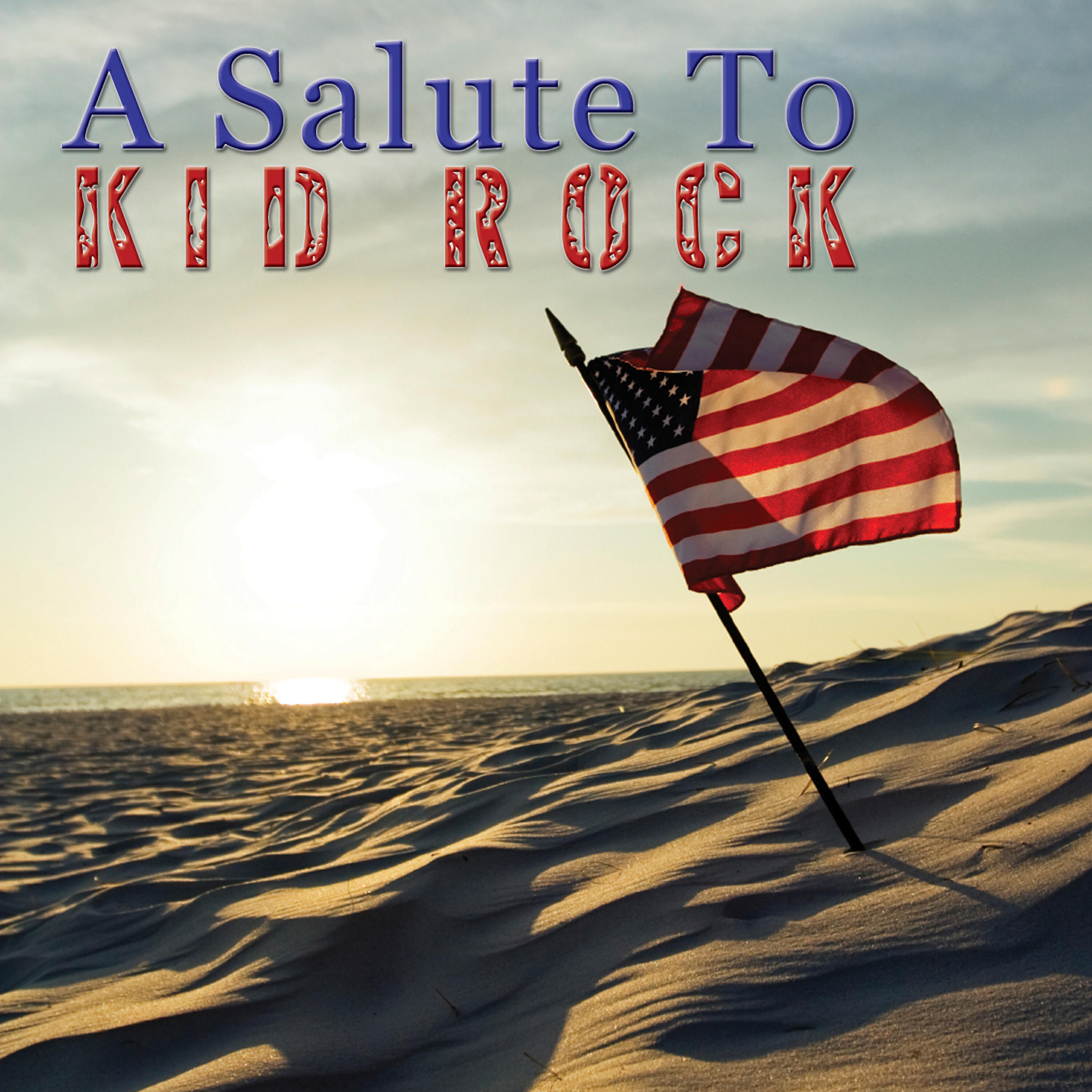 Релиз A Salute to Kid Rock