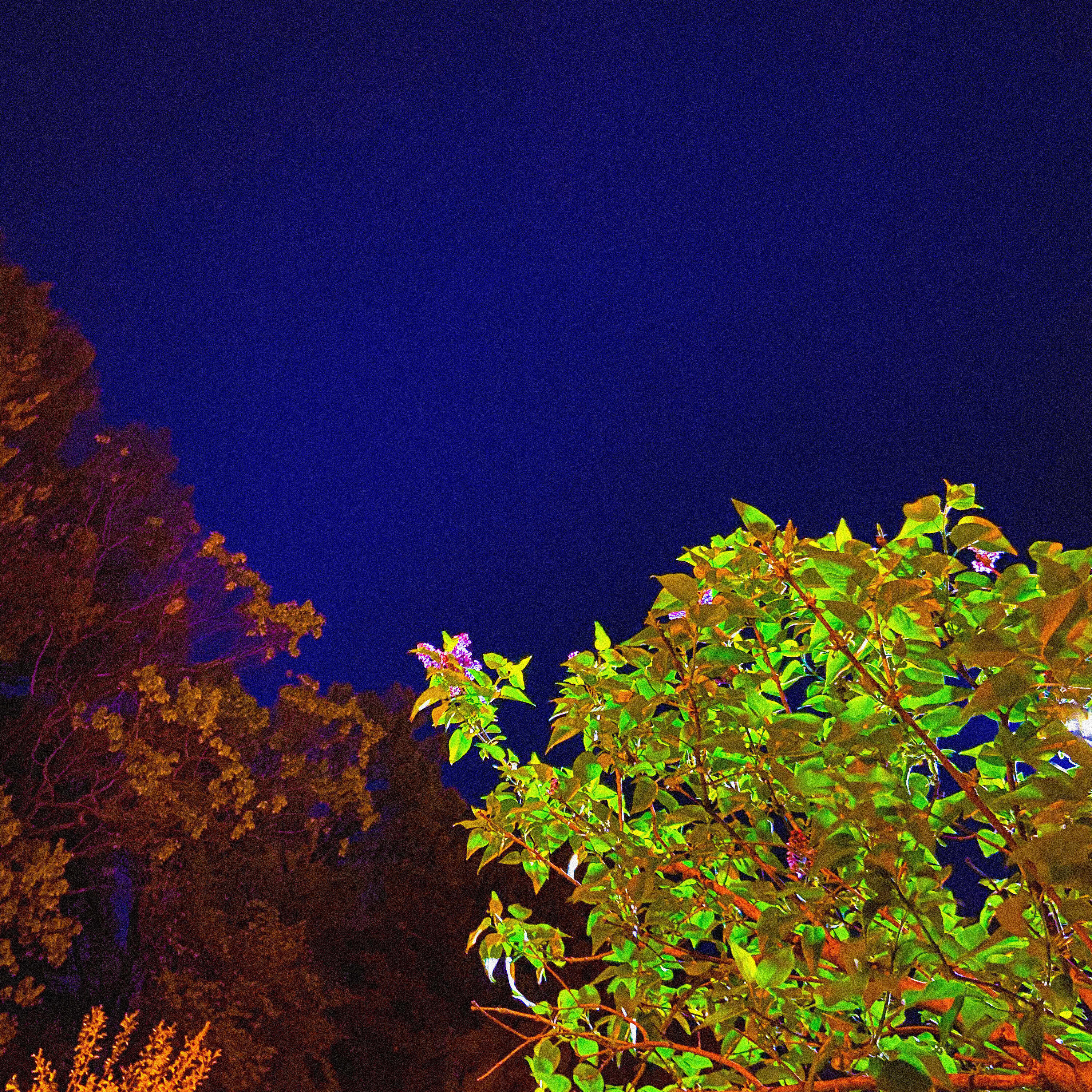 Релиз Night Night :) lofi hiphop mix