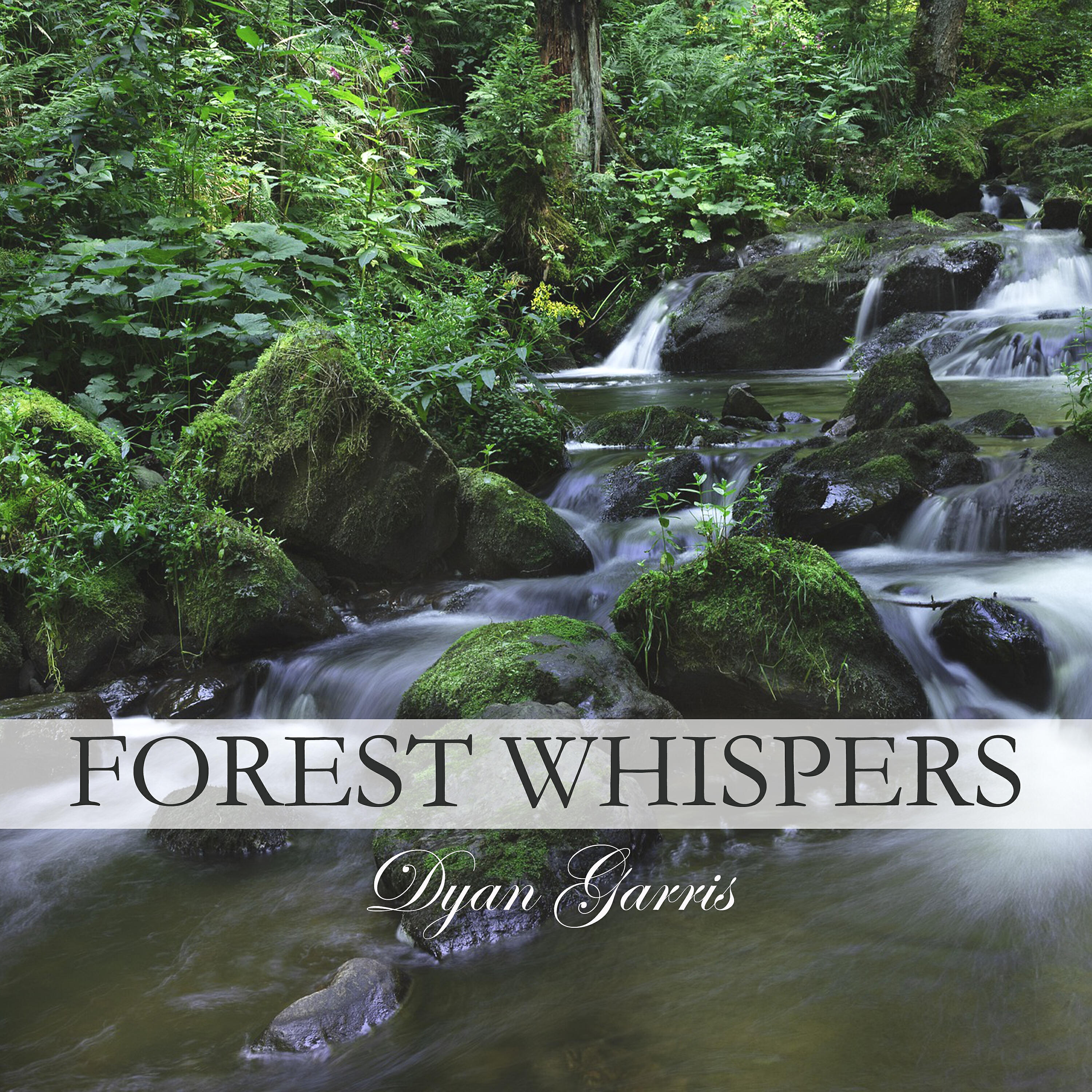 Релиз Forest Whispers (feat. Sherry Finzer)