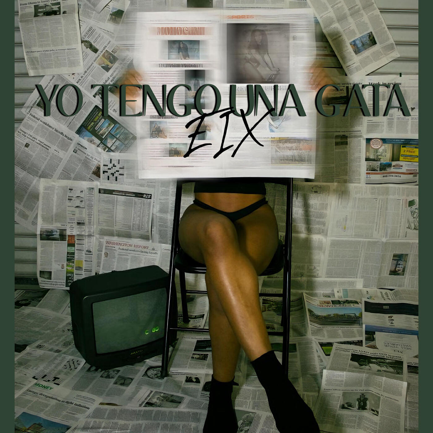 Релиз Yo Tengo Una Gata