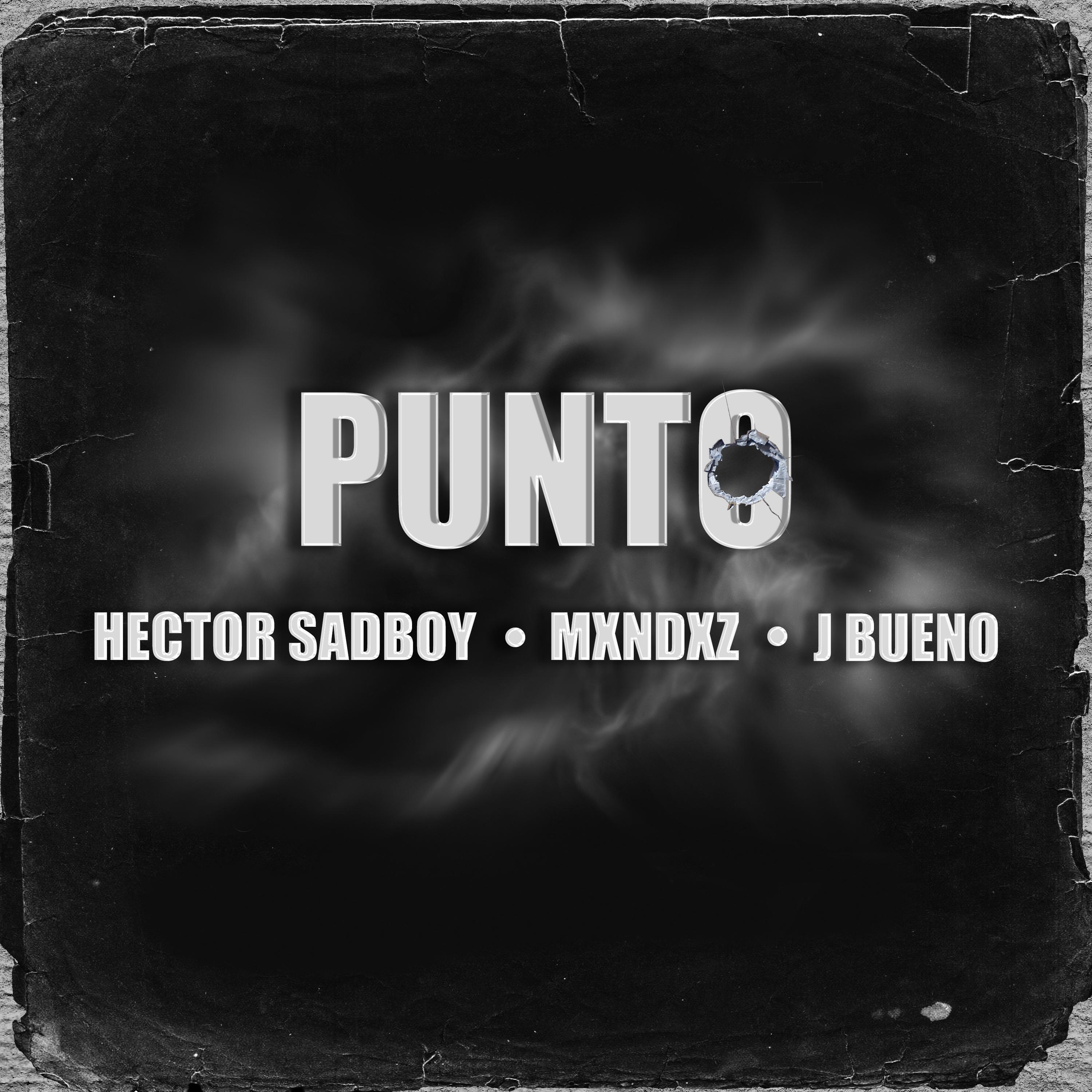 Релиз Punto