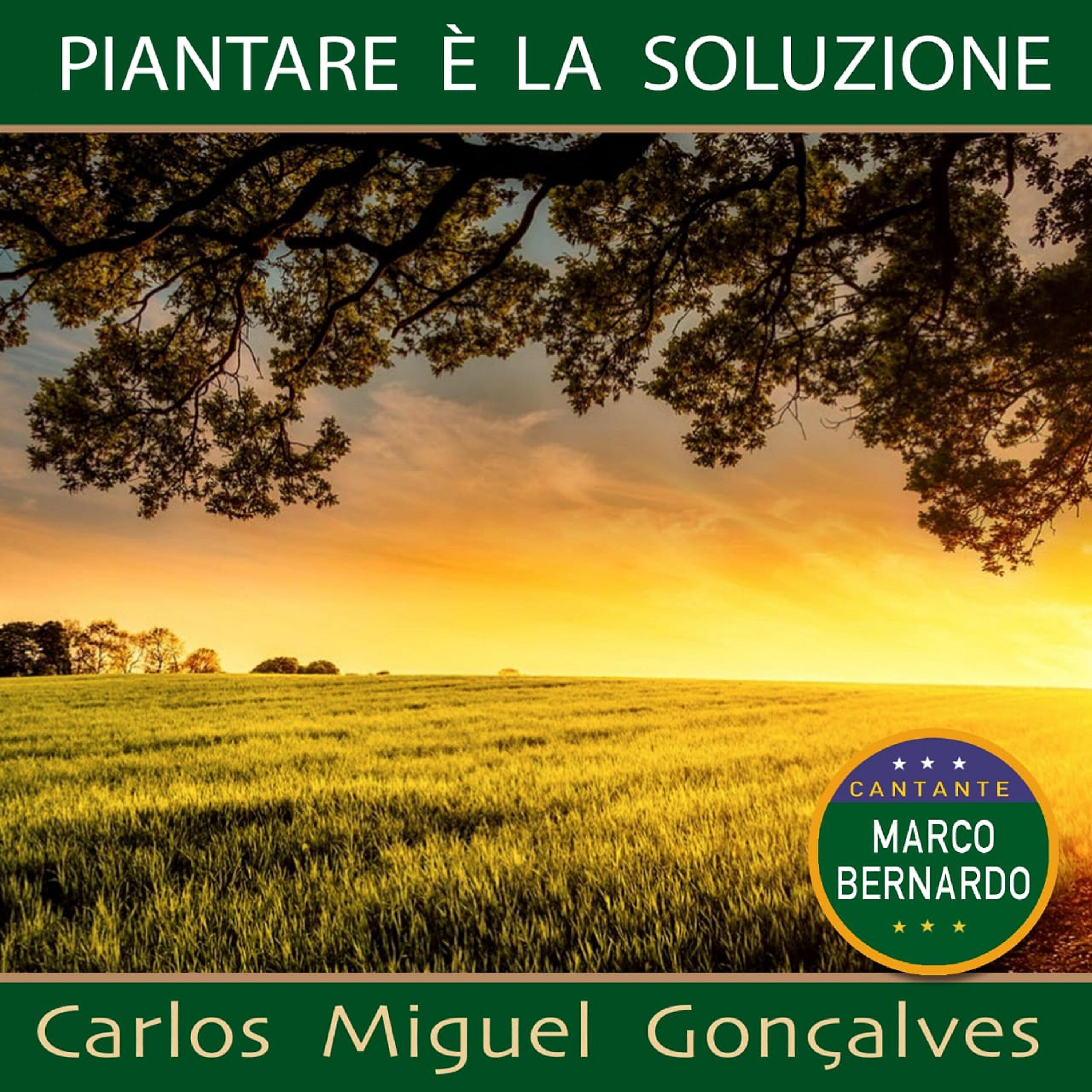 Релиз Piantare è la soluzione