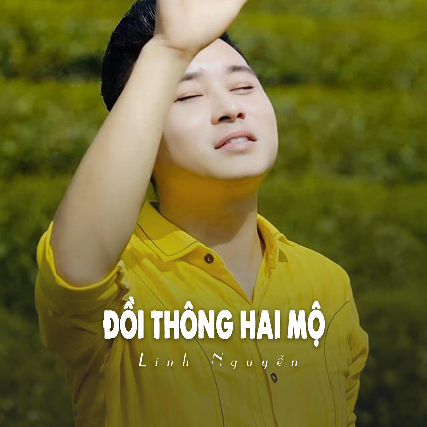 Релиз Đồi Thông Hai Mộ