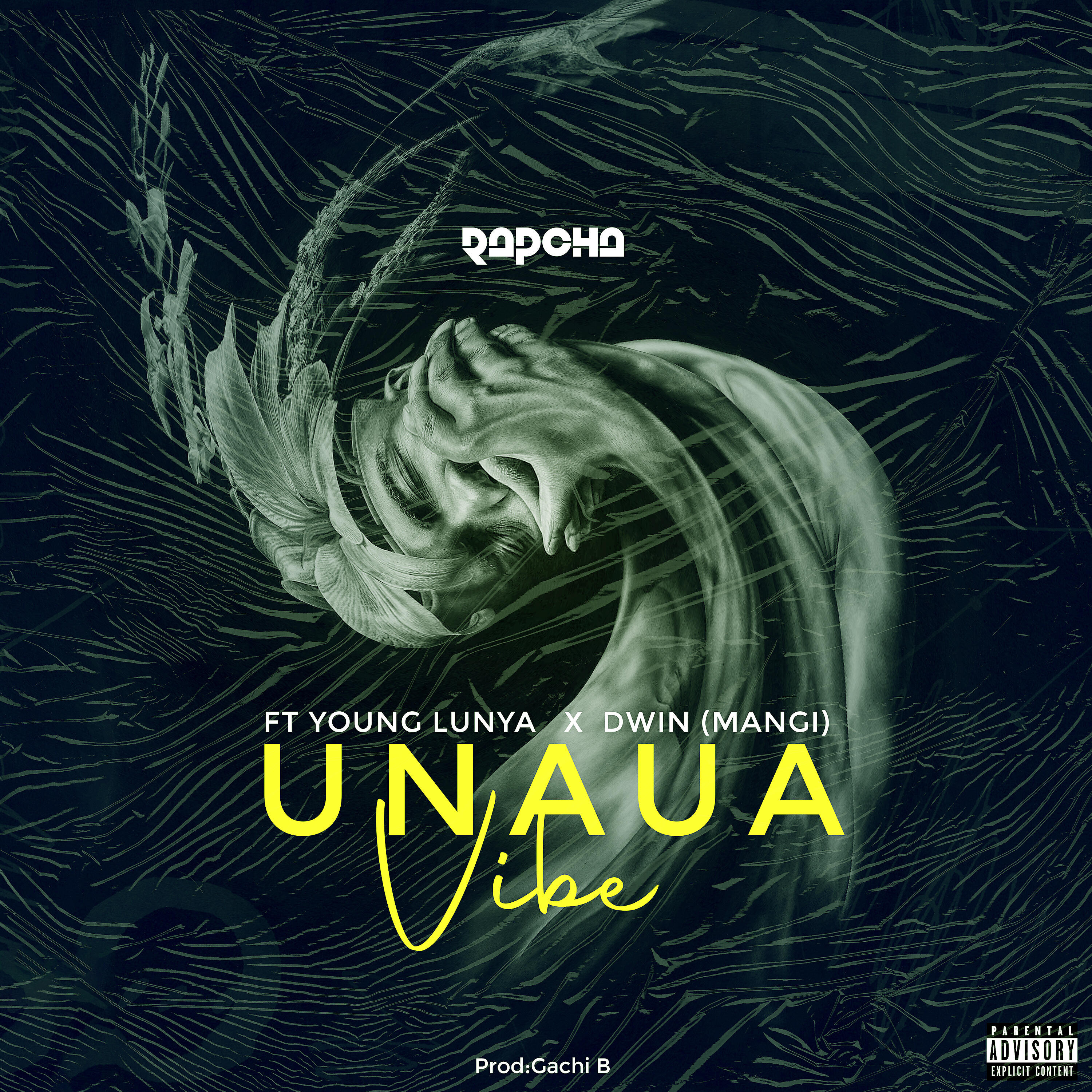 Релиз Unaua Vibe