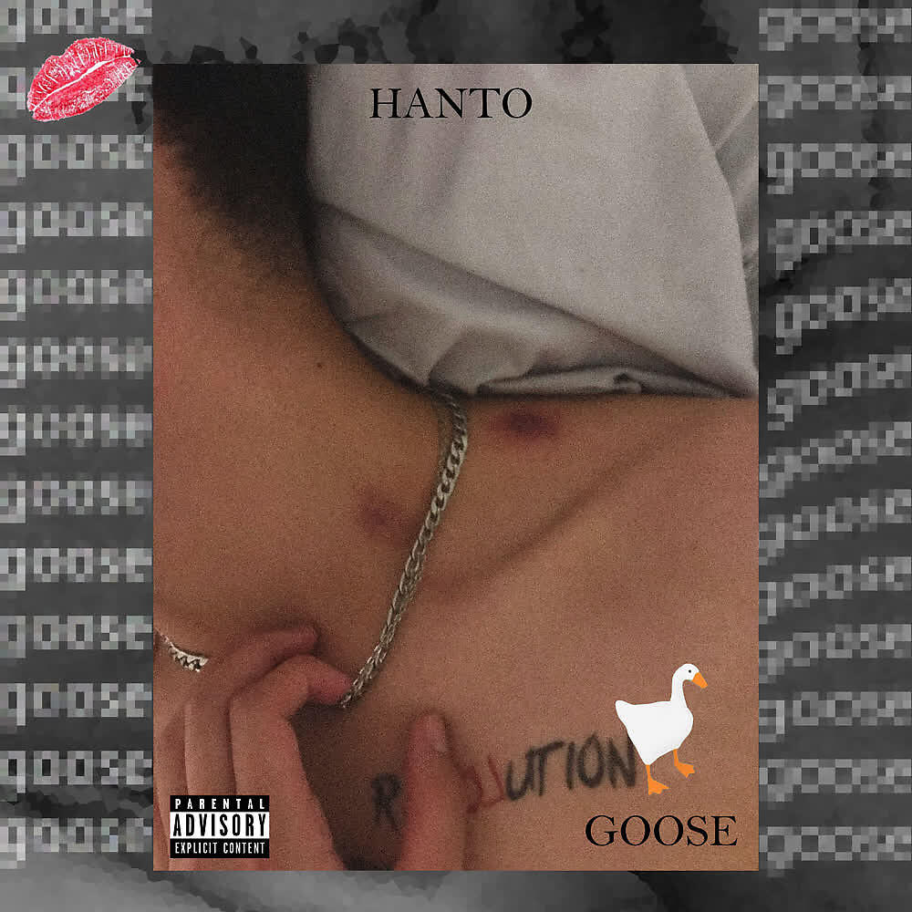 Релиз Goose