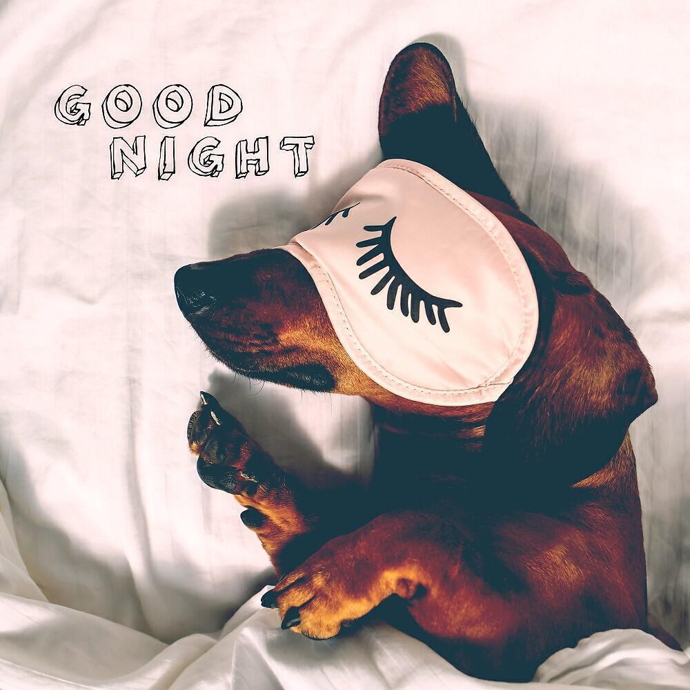 Sleep Well