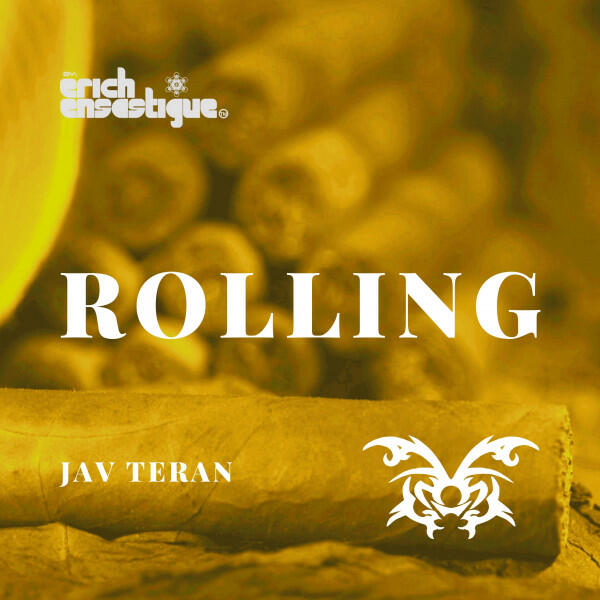 Релиз Rolling (Erich Ensastigue Remix)