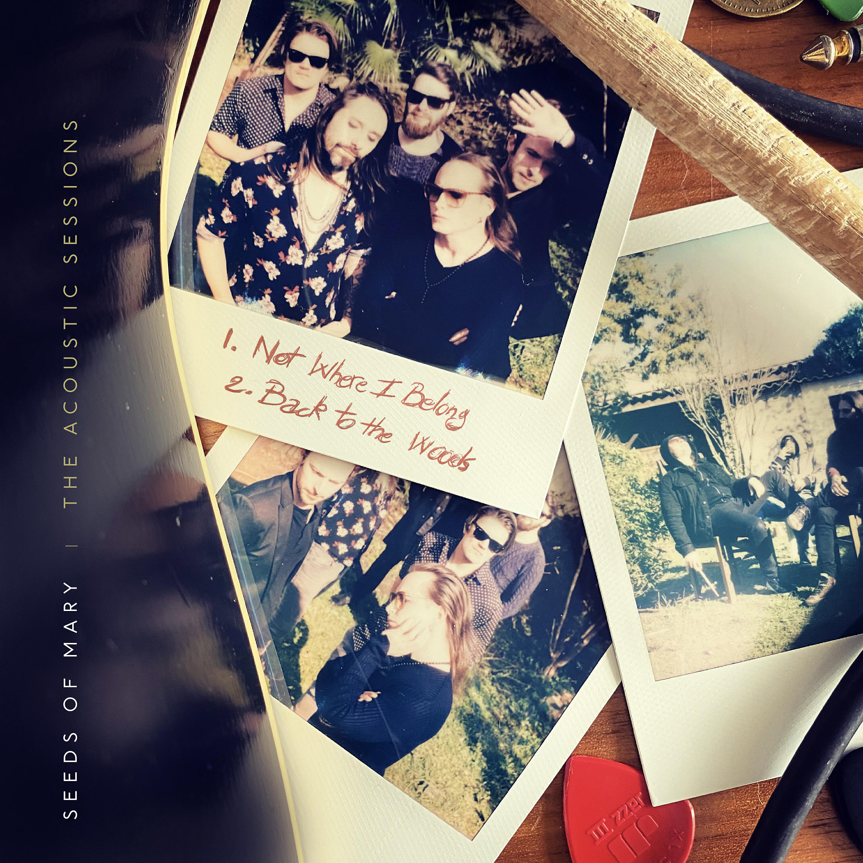 Релиз The Acoustic Sessions