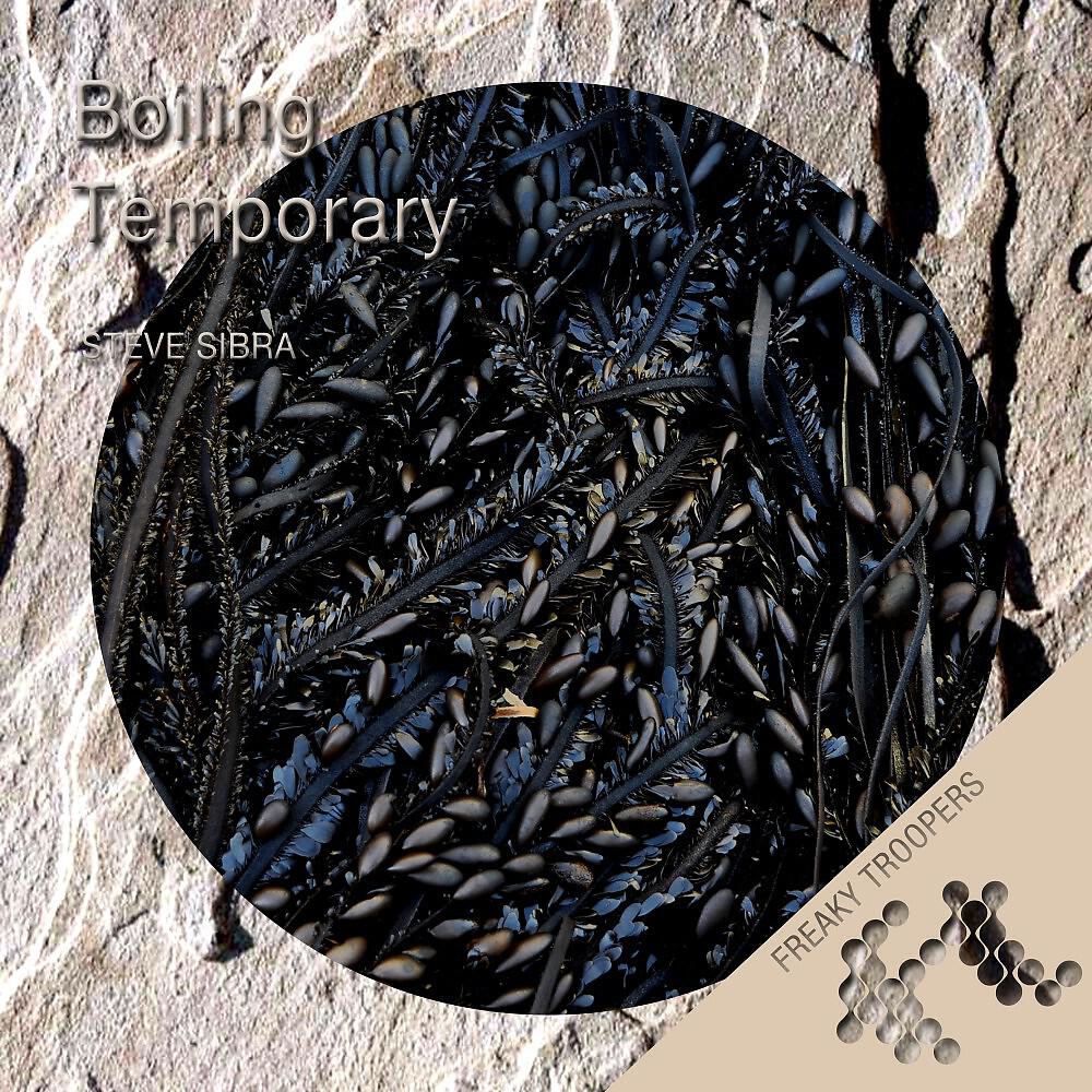 Релиз Boiling / Temporary