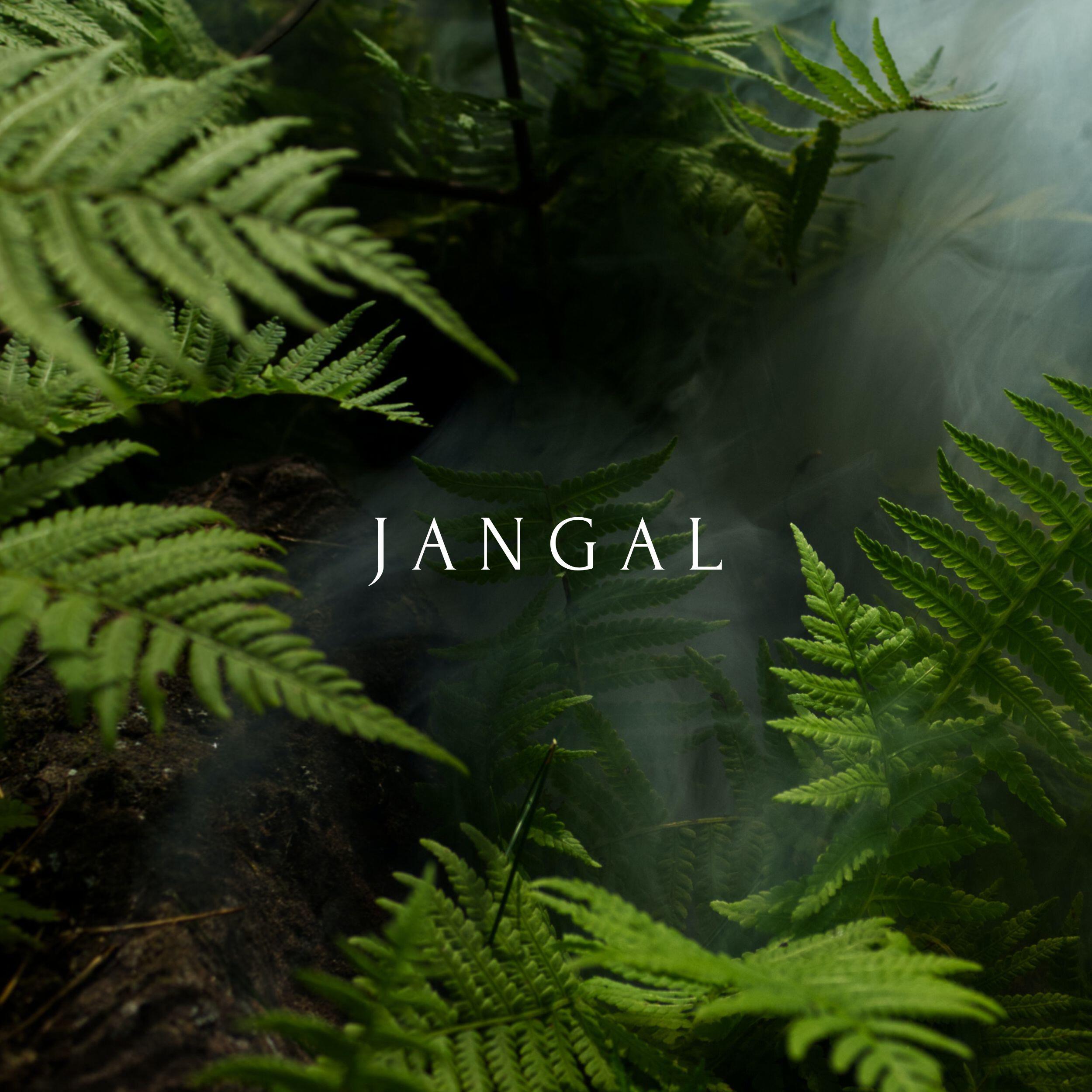 Релиз Jangal