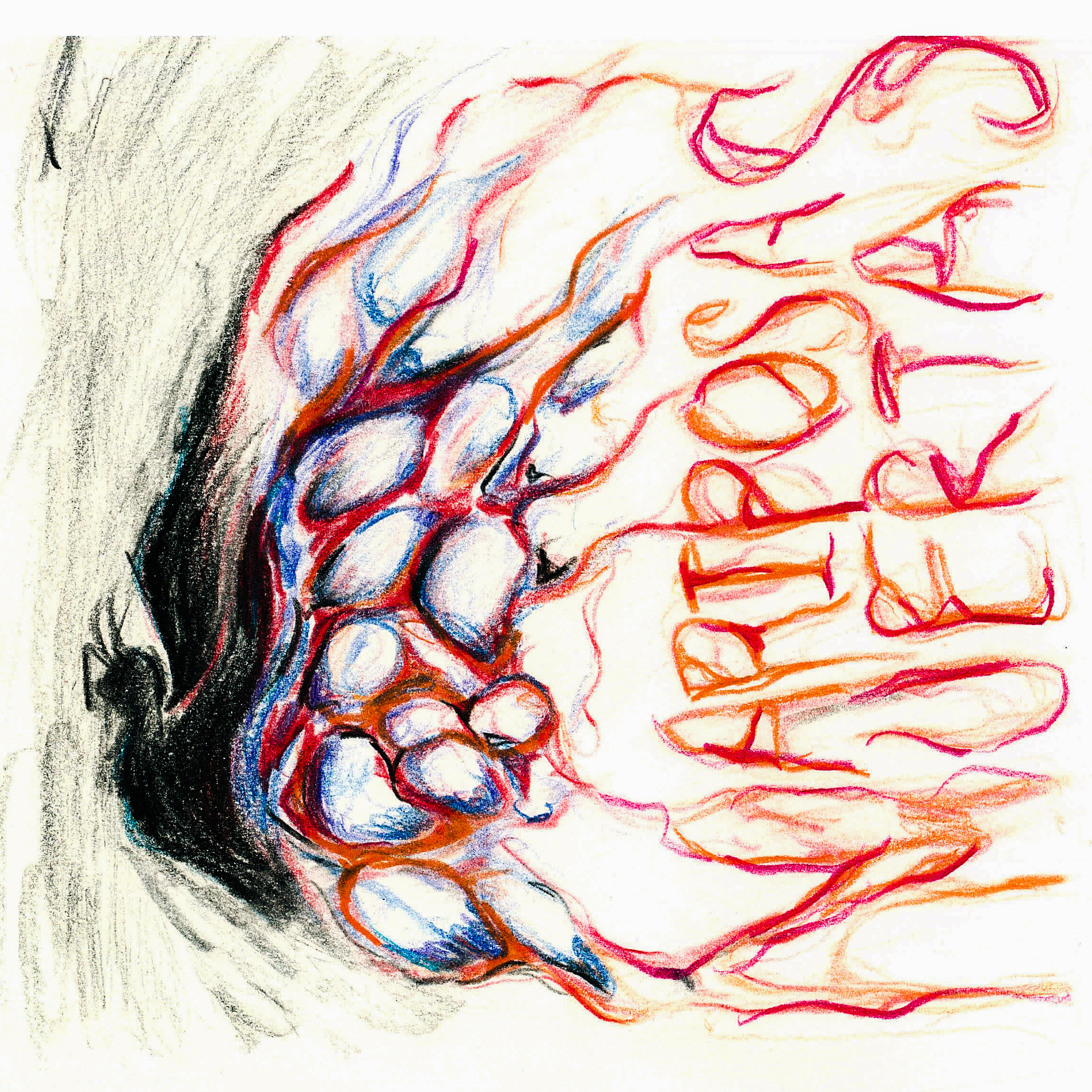 Релиз Mariposas Muertas