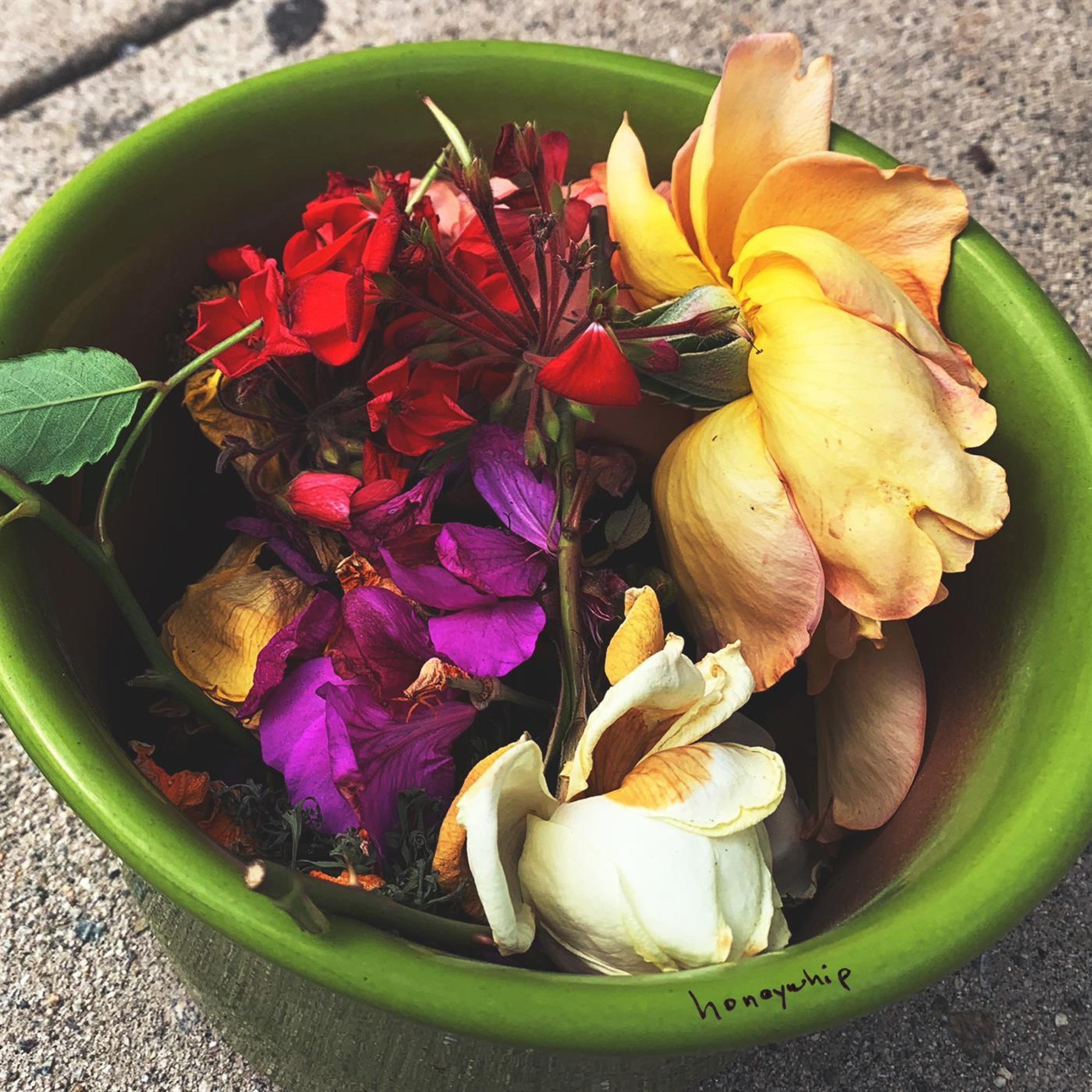 Релиз Flowers