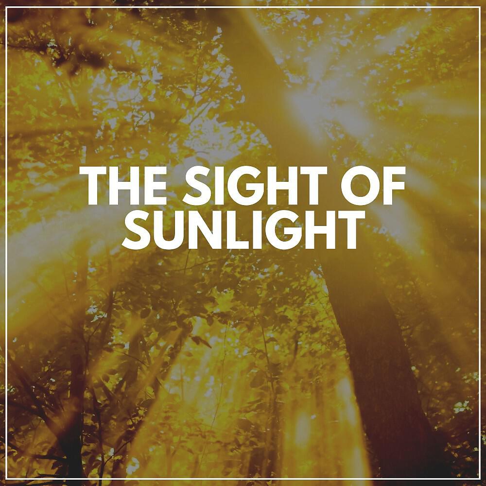Релиз The Sight of Sunlight