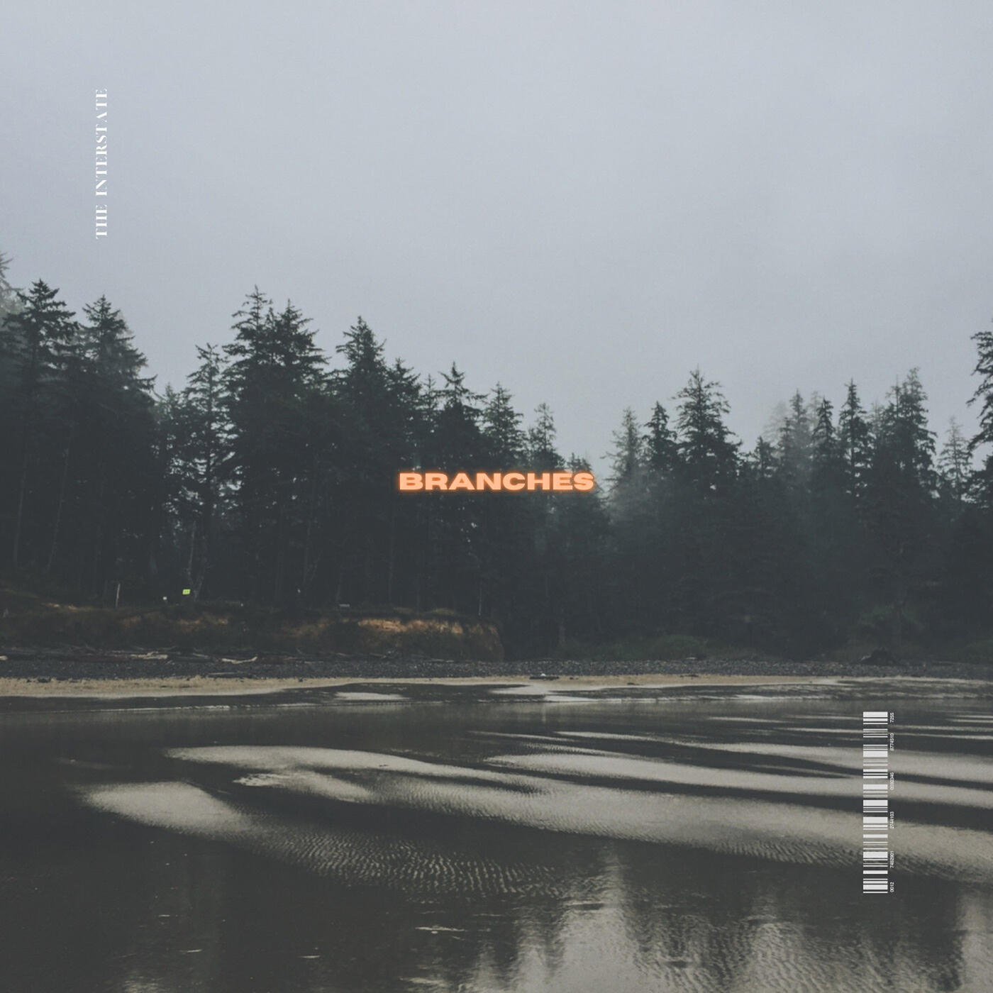 Релиз Branches (The Interstate Rework)