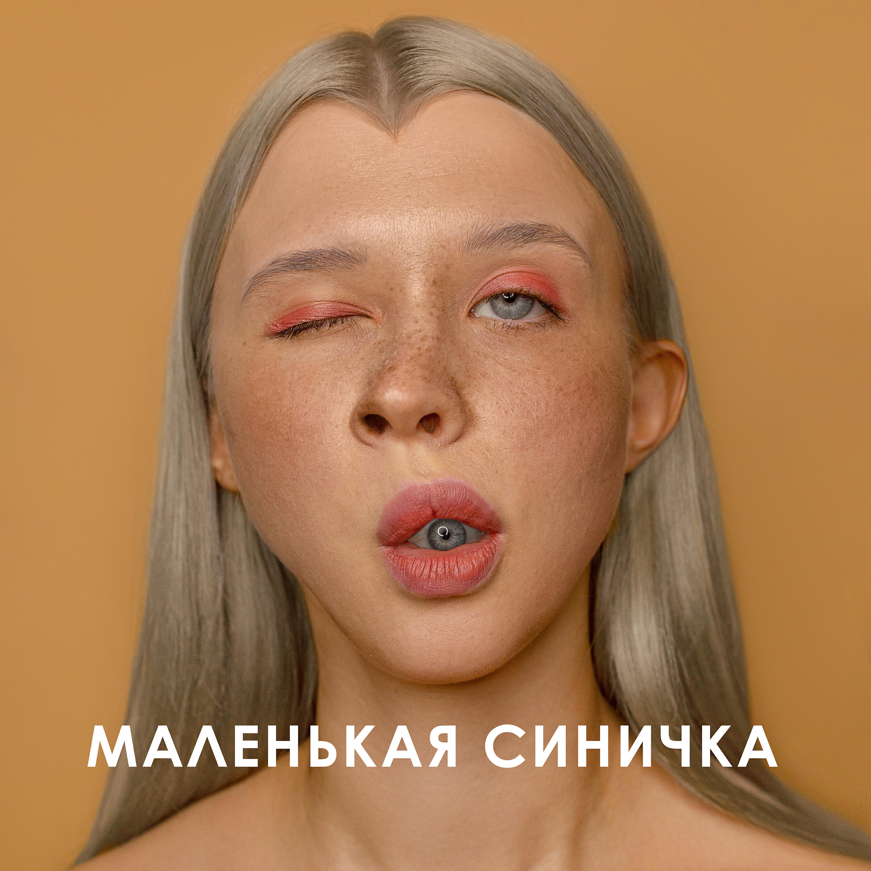 Релиз Маленькая синичка