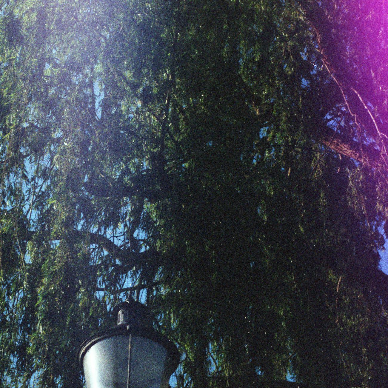 Релиз Suzulight EP