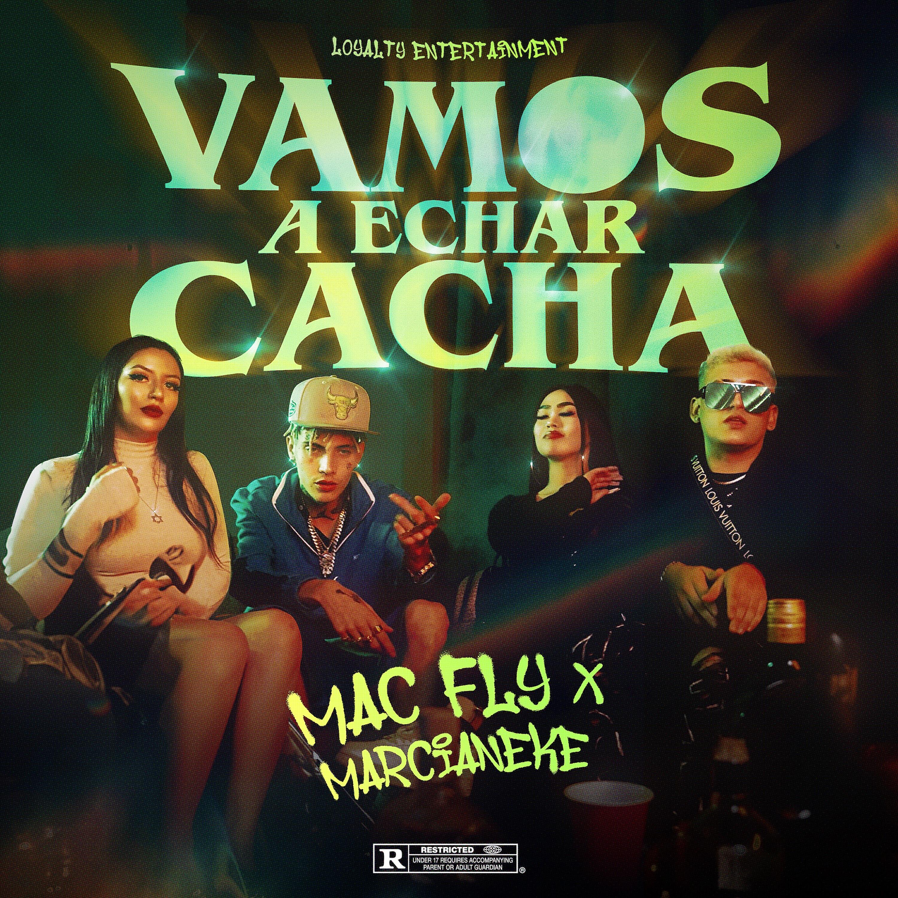 Релиз Vamo a Echar Cacha