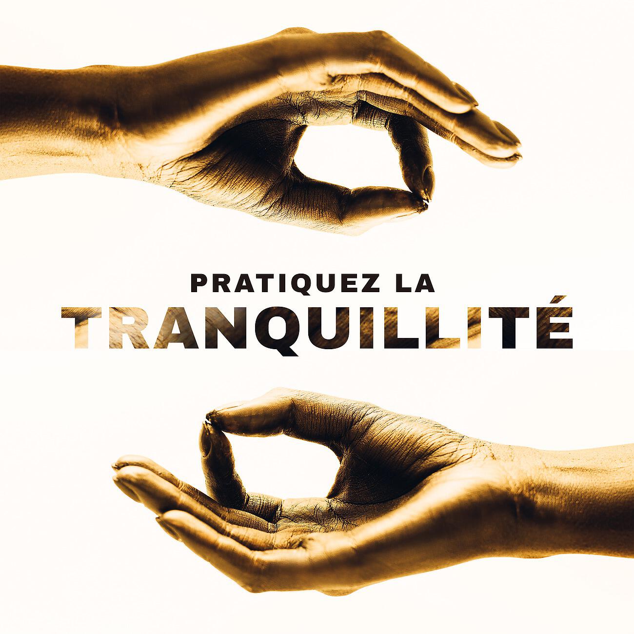 Релиз Pratiquez la tranquillité - Musique tranquille pour la méditation de relaxation