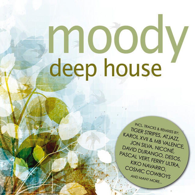 Релиз Moody Deep House