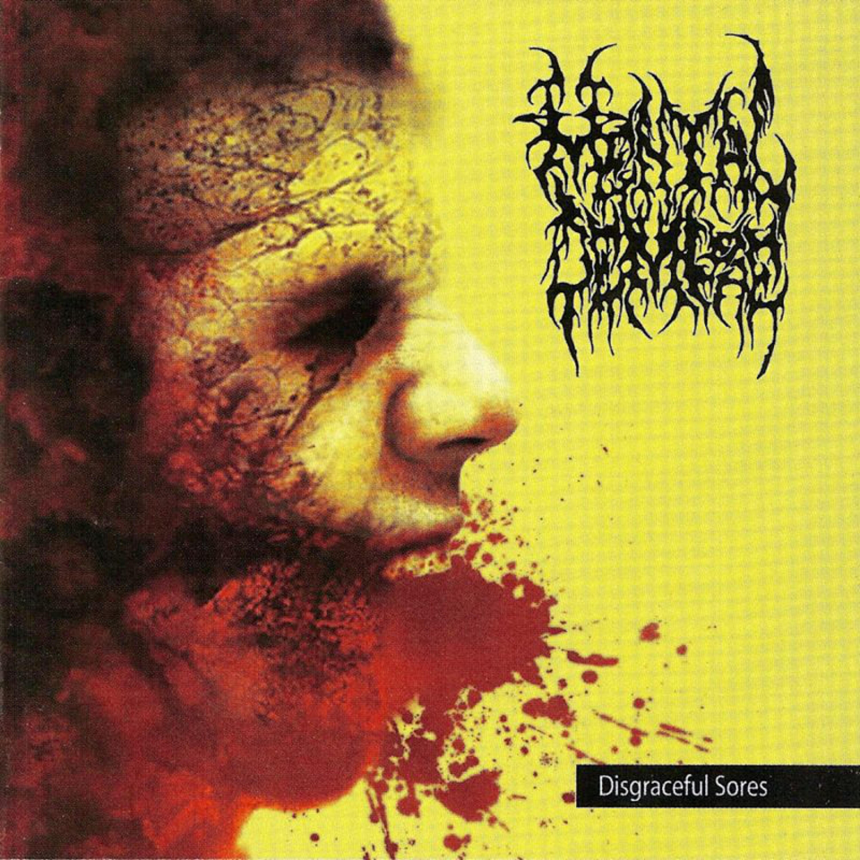 Релиз Disgraceful Sores