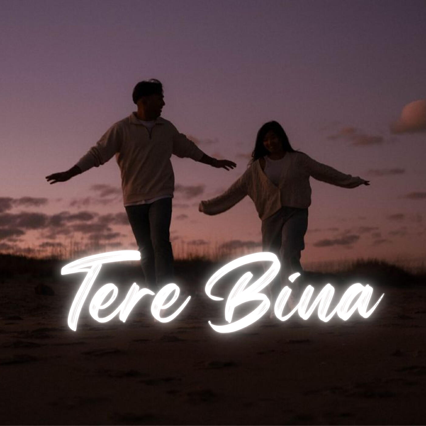 Релиз Tere Bina (Speed Up)