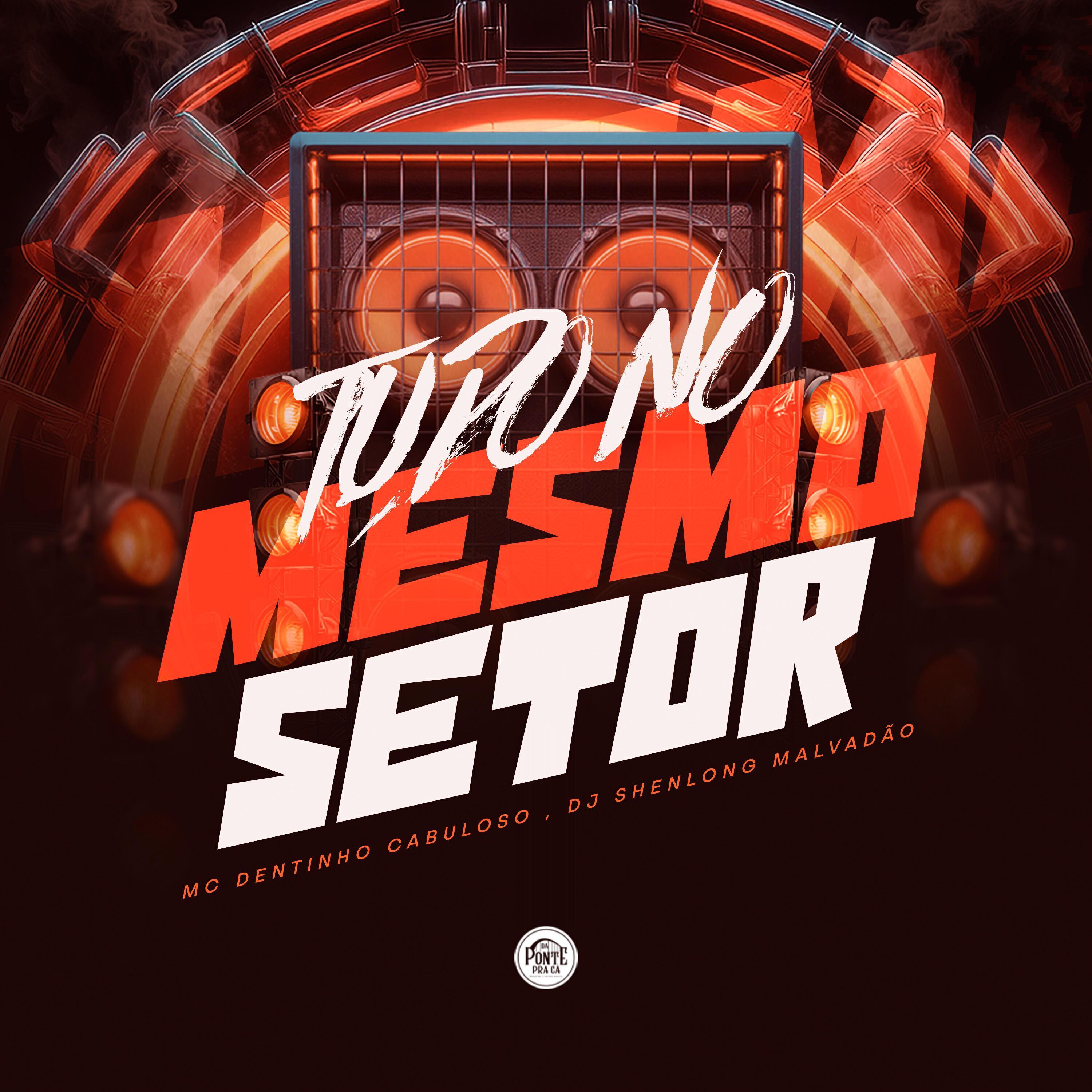 DJ SHENLONG MALVADÃO все песни в mp3