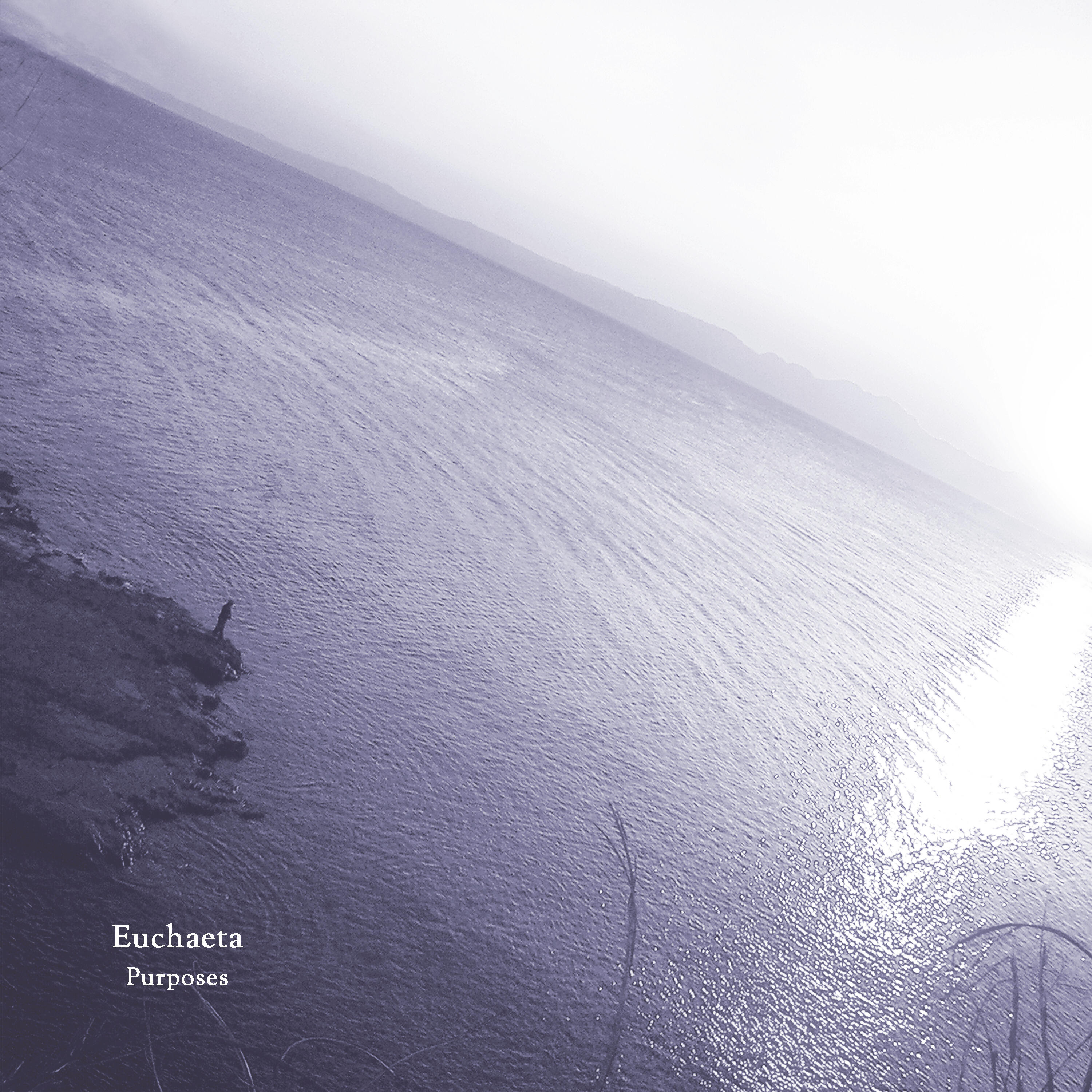 Релиз Purposes
