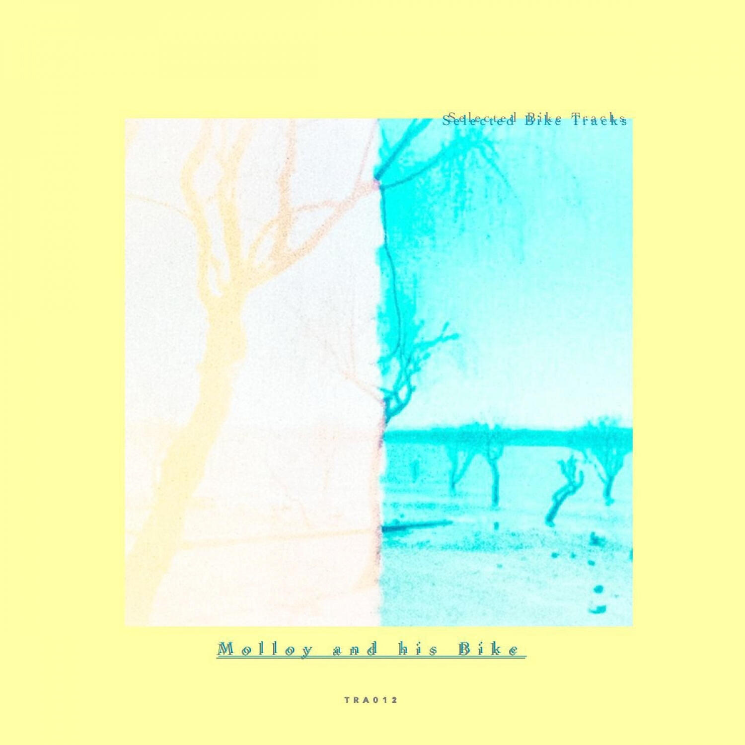 Релиз Selected Bike Tracks