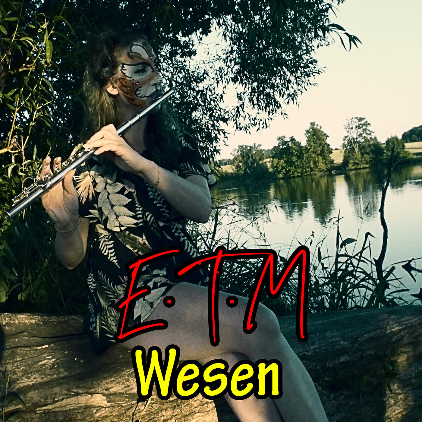 Постер альбома Wesen
