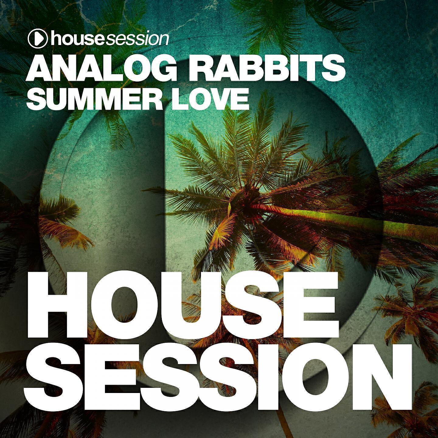 Analog Rabbits