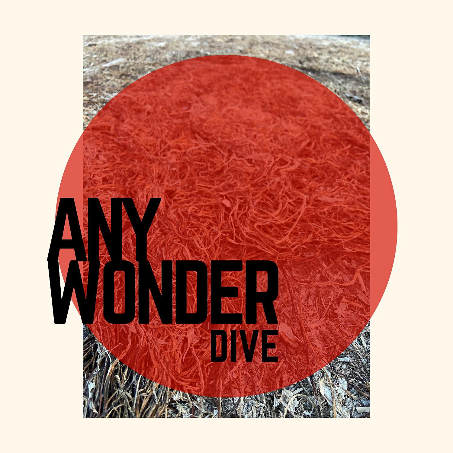Релиз Dive