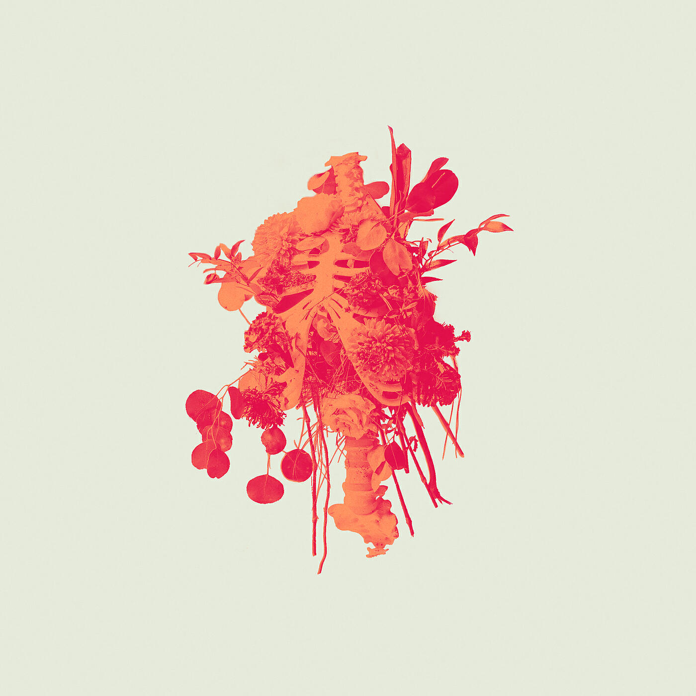 Релиз Graves Into Gardens: Morning & Evening
