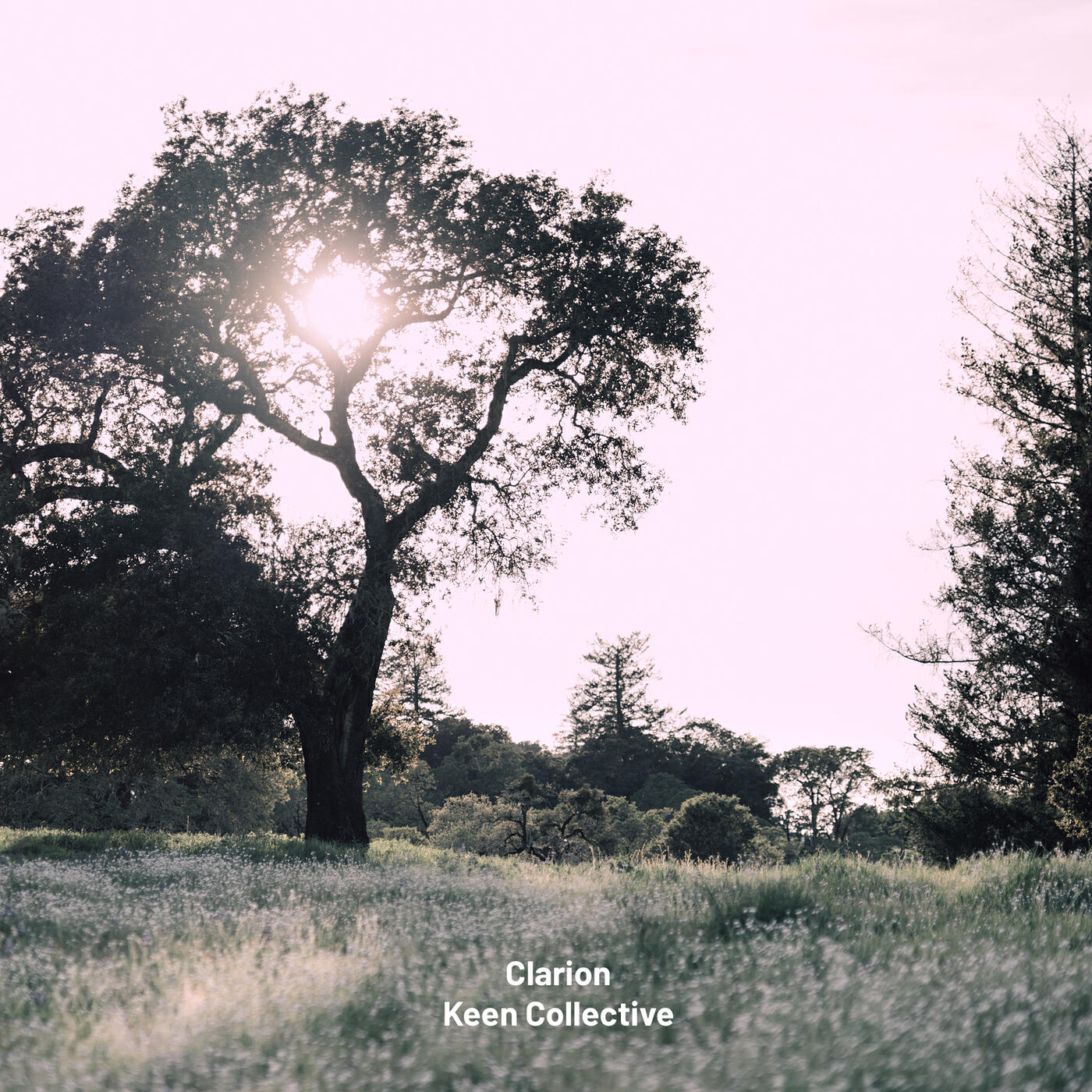 Релиз Clarion