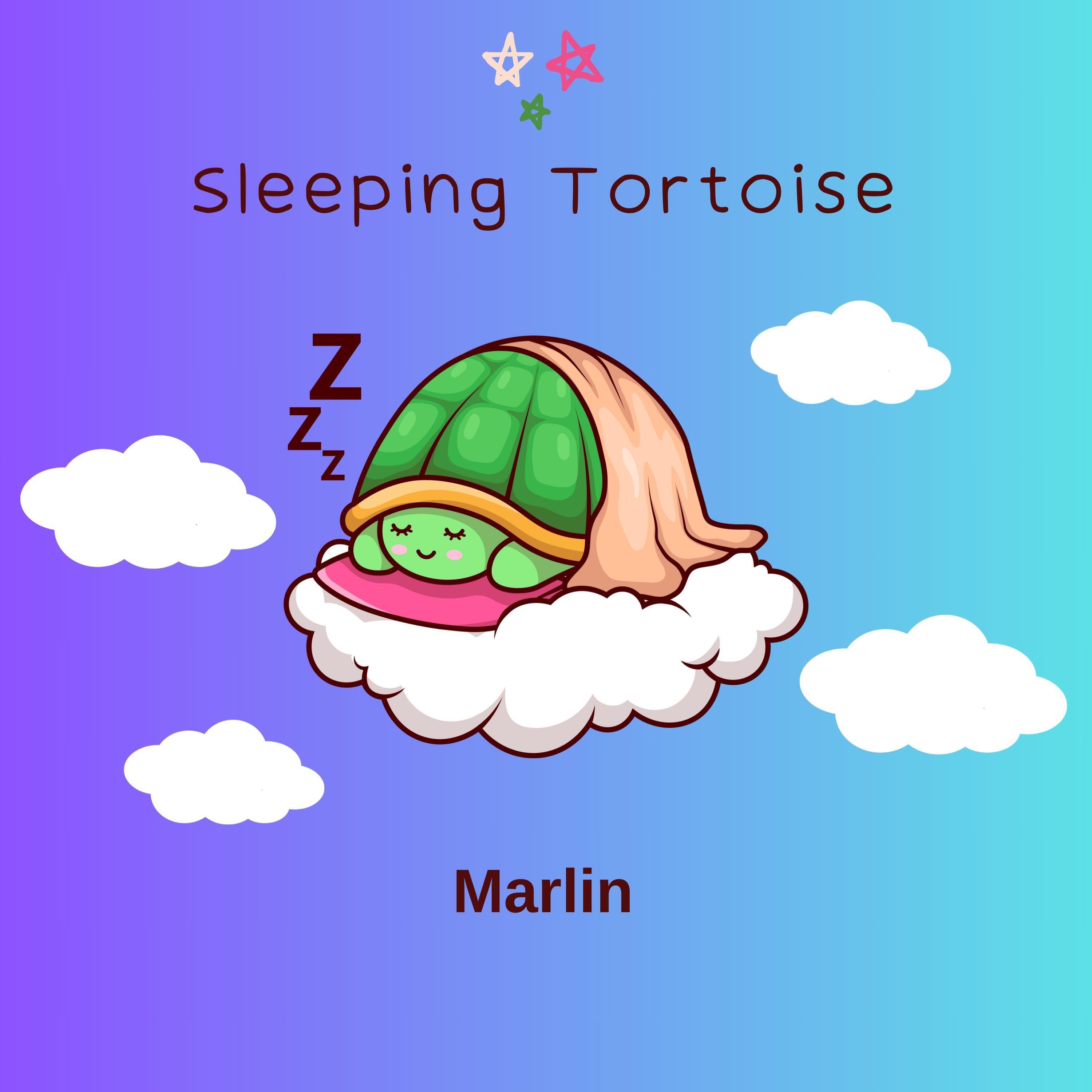Sleeping Tortoise