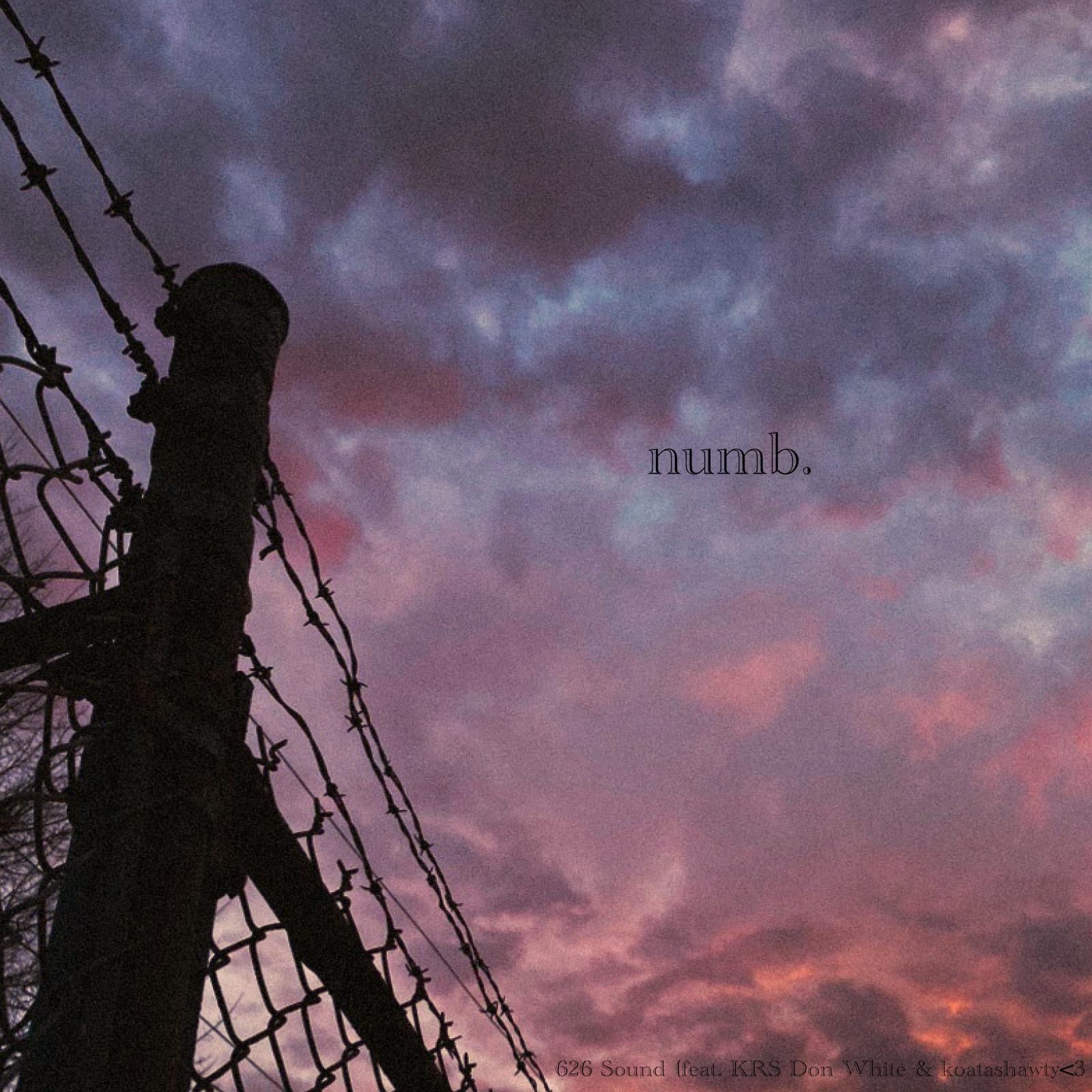 Релиз numb. (feat. KRS Don White & koatashawty<3)